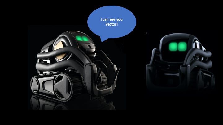 Vector robot uses 2025
