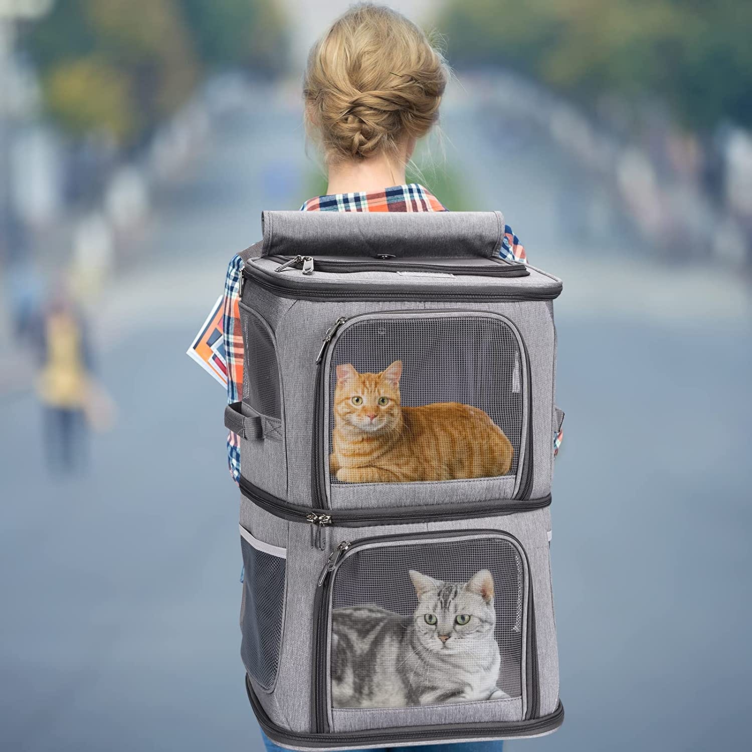 Double cat backpack 2025