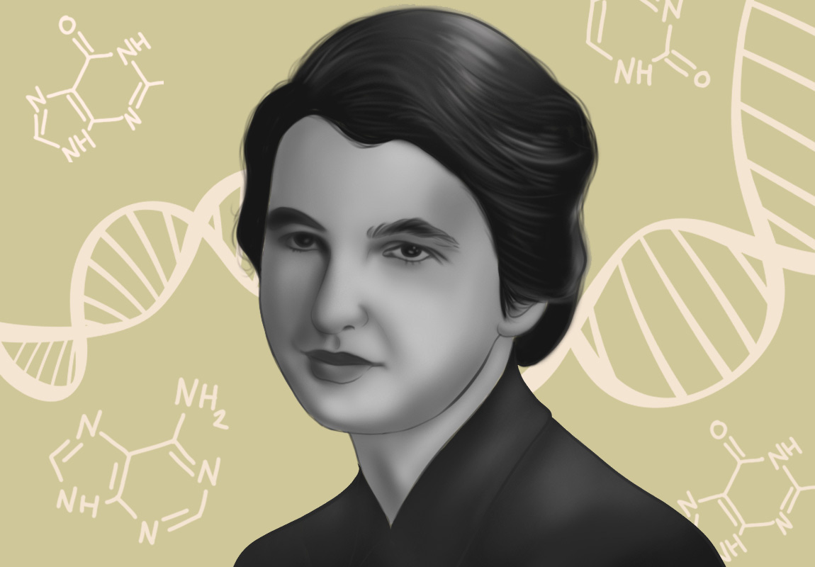 Rosalind Franklin The Real Unsung Discoverer of the DNA Model