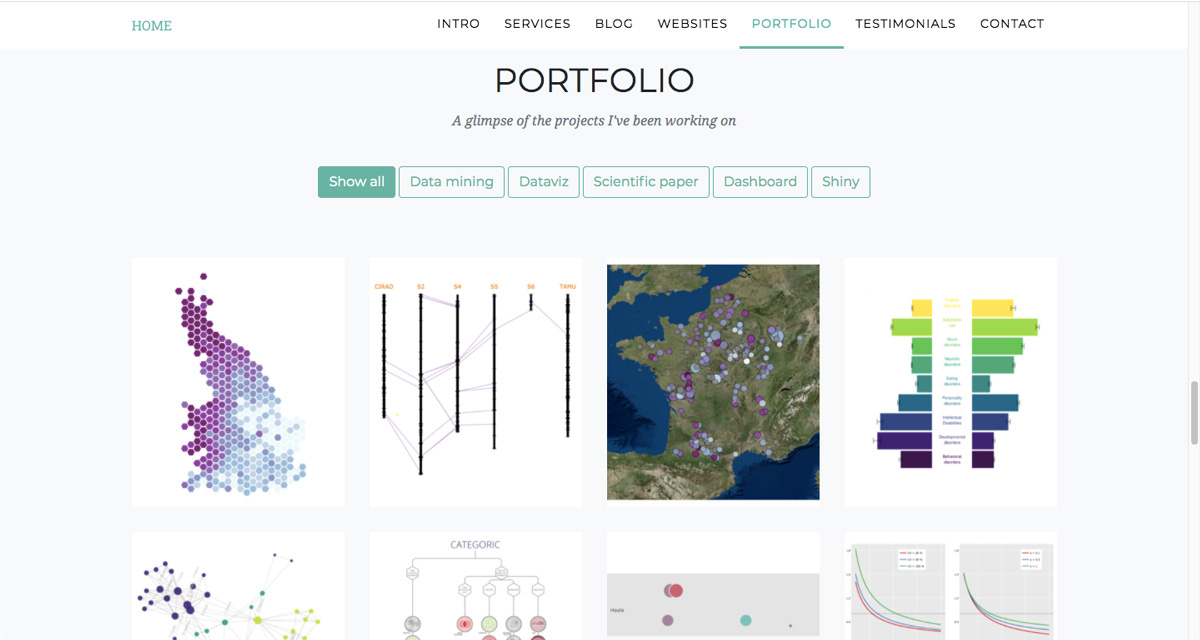 How to Build an Impressive Data Analytics Portfolio in Just 1 Month