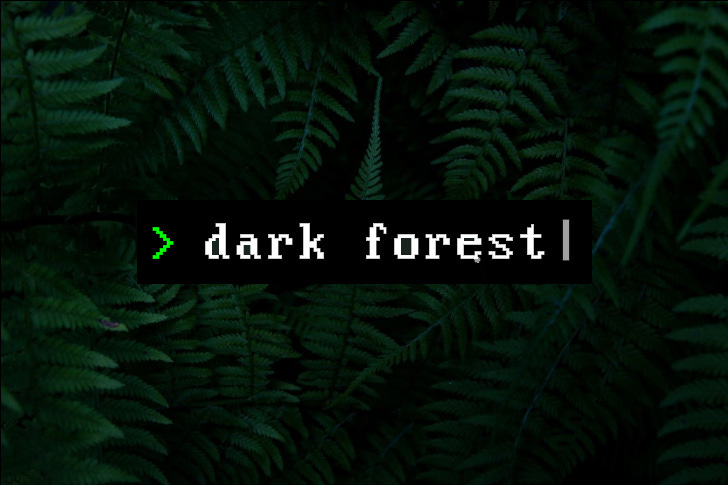 dark forest crypto