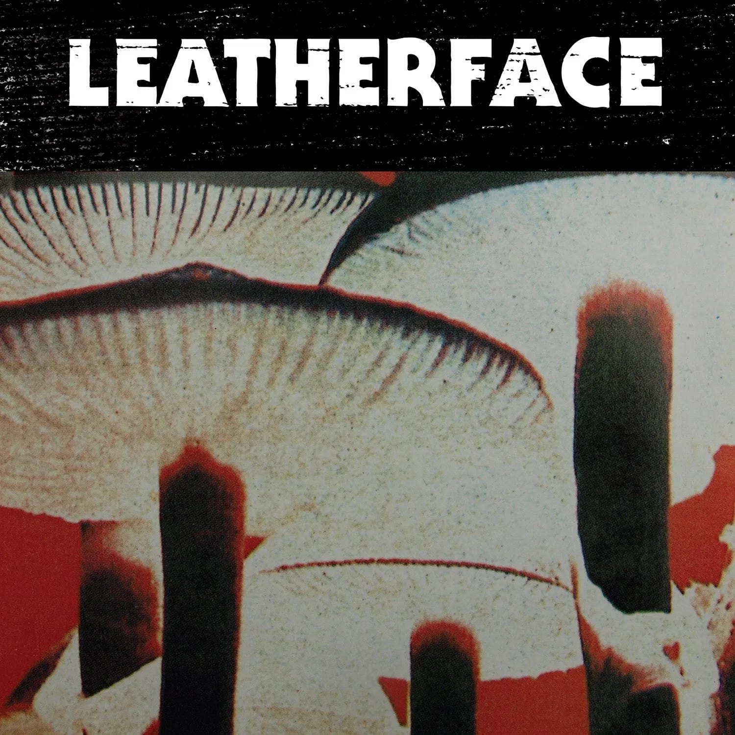 Notes On Leatherface, Baking Potatoes - by Zachary Lipez