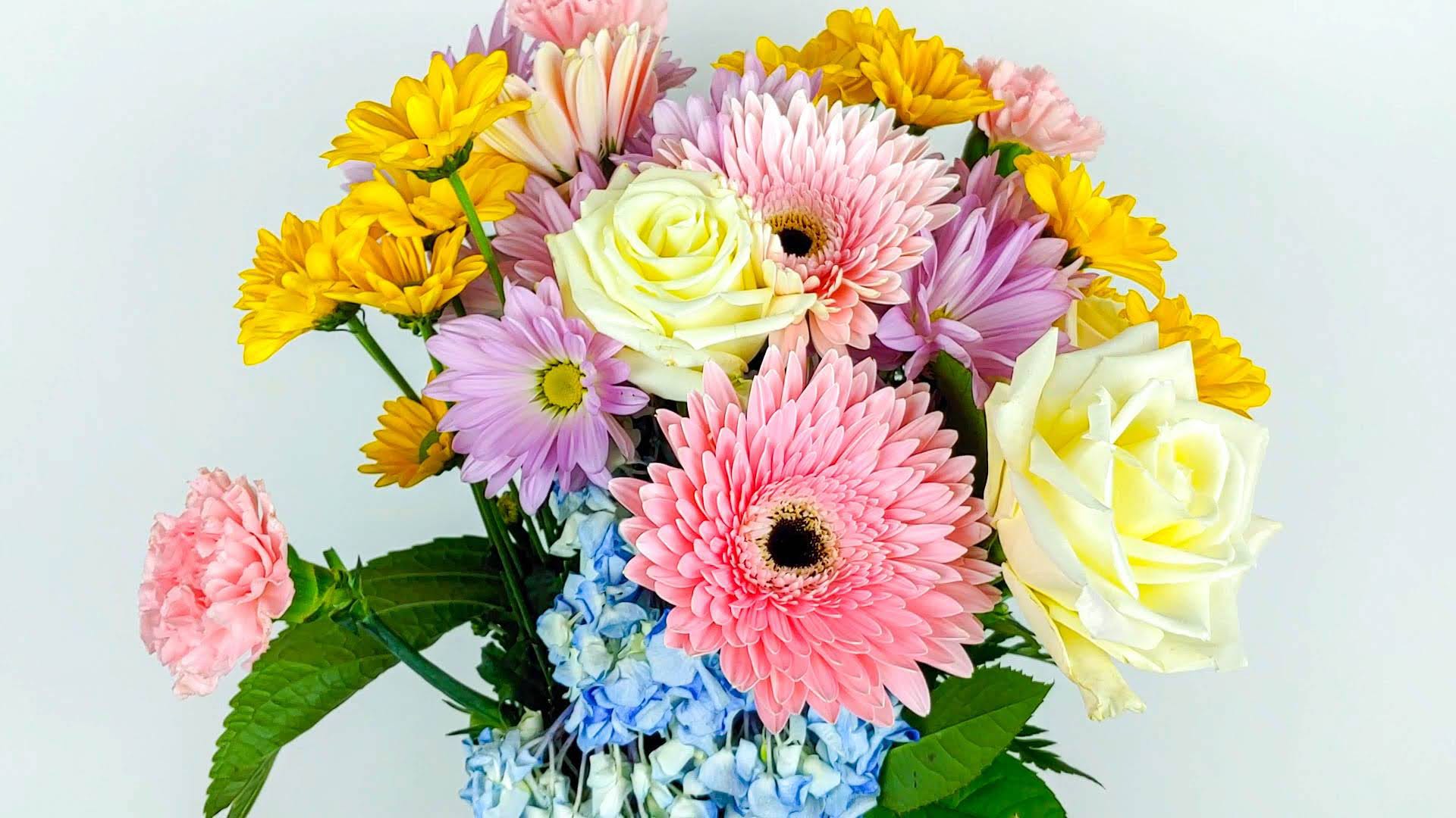 Could you live without furniture? by Josh