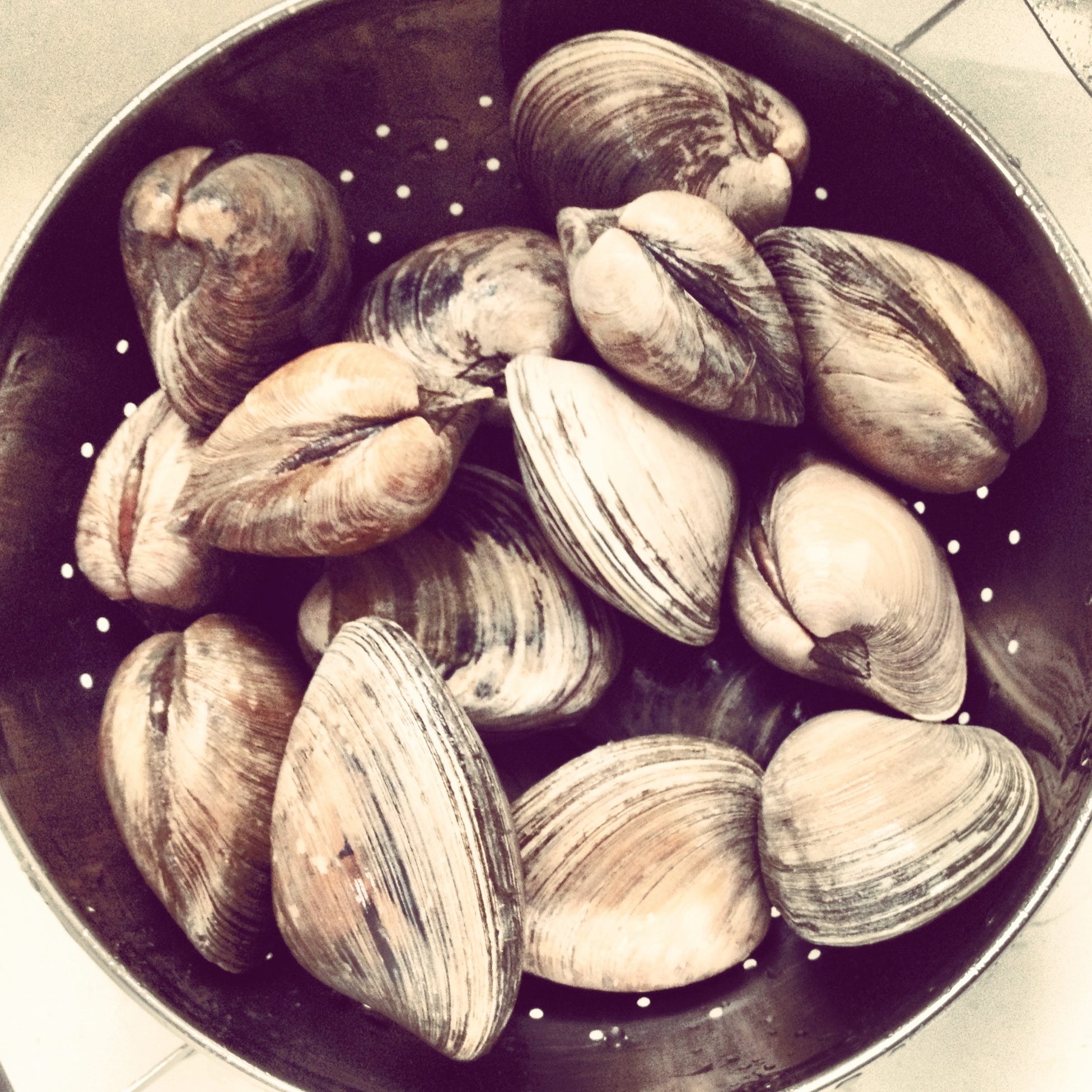 James Beard’s Clam Chowder by Domenica Marchetti