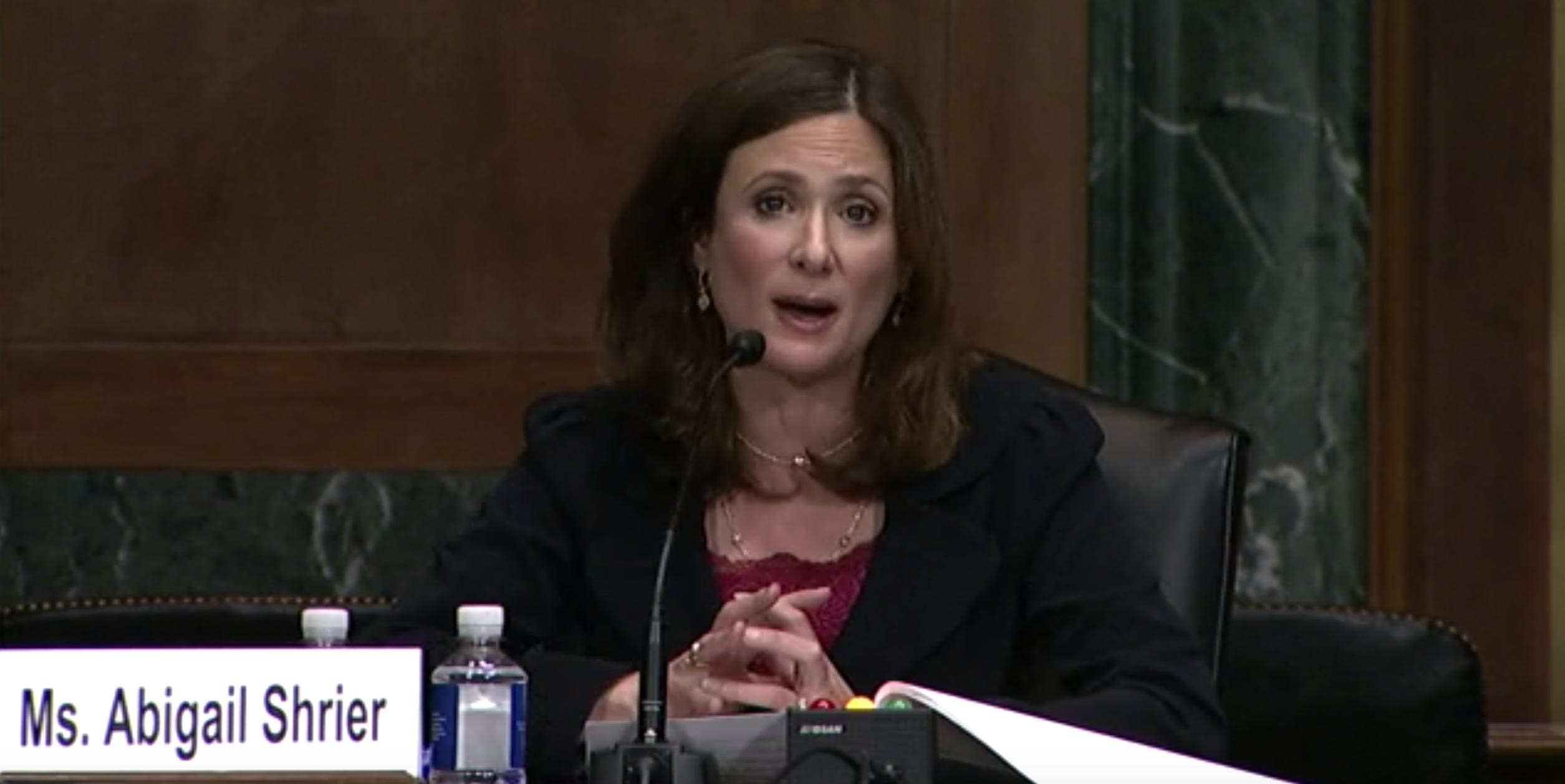 Abigail Shrier Goes to Washington to Fantasize About Sex Crimes with