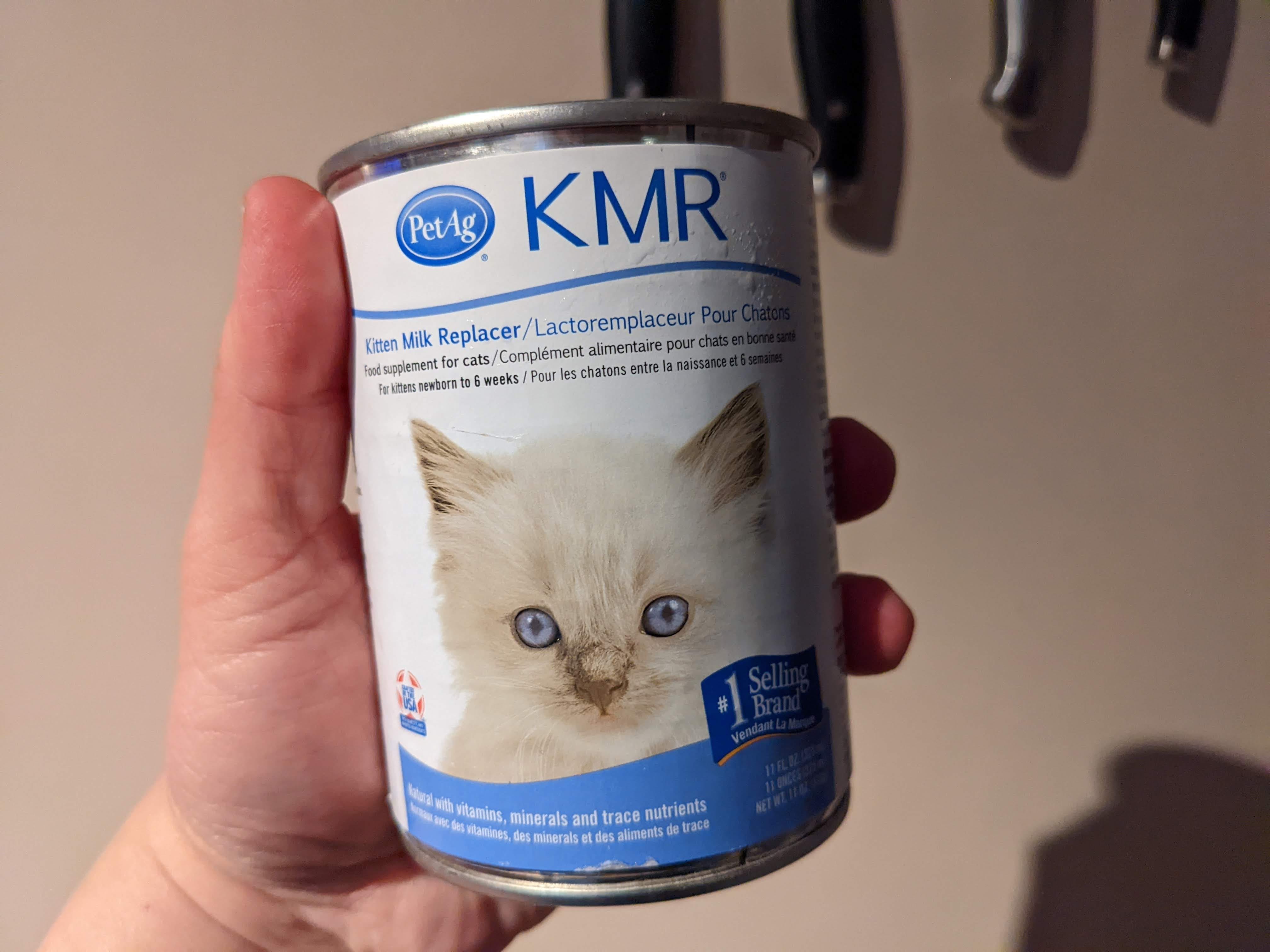 Condensed milk for online cats