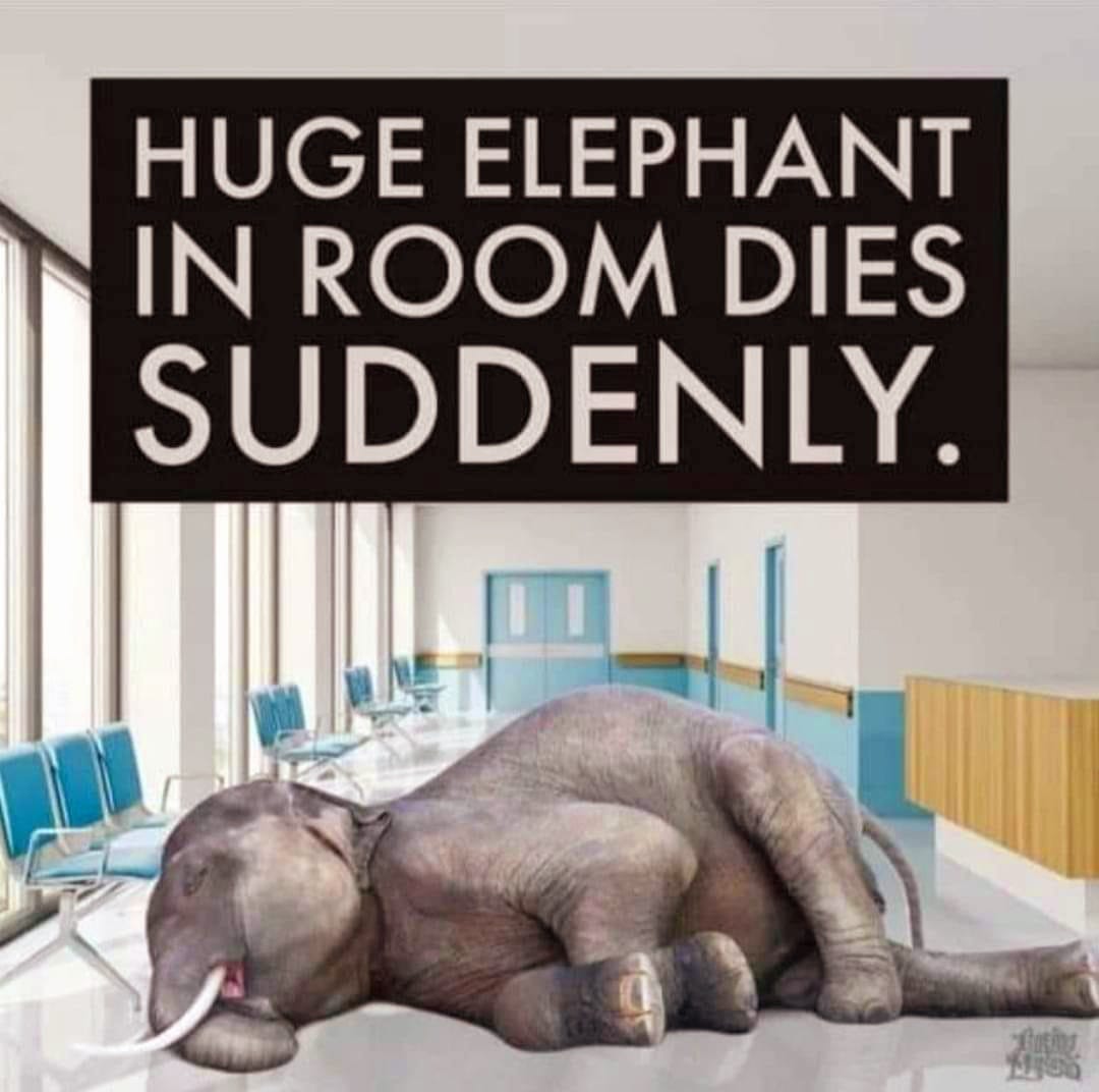 73c018ab-310b-4ae5-a743-539a23700b39_108