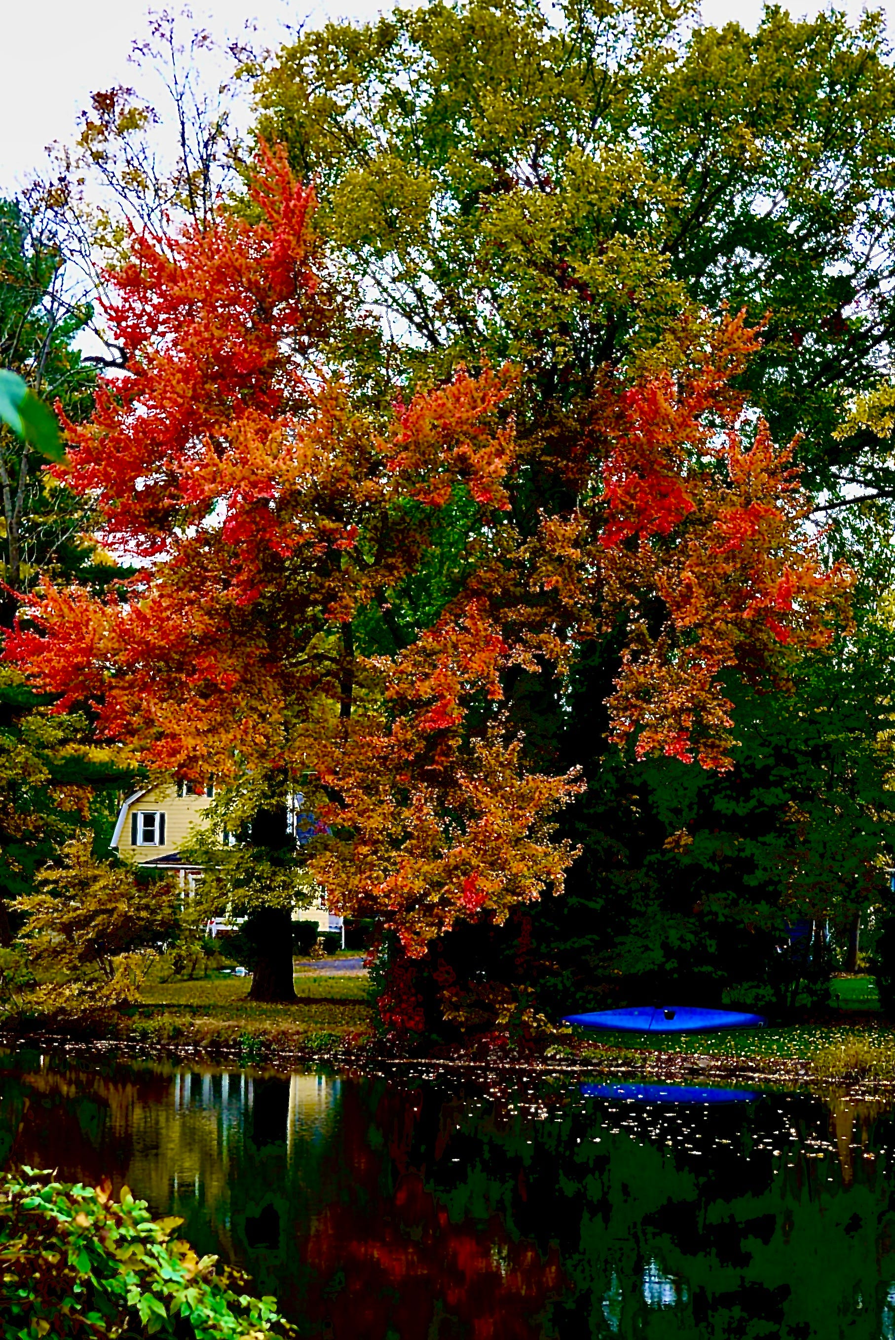 Some Fall Colors In New Jersey by garybaumgarten