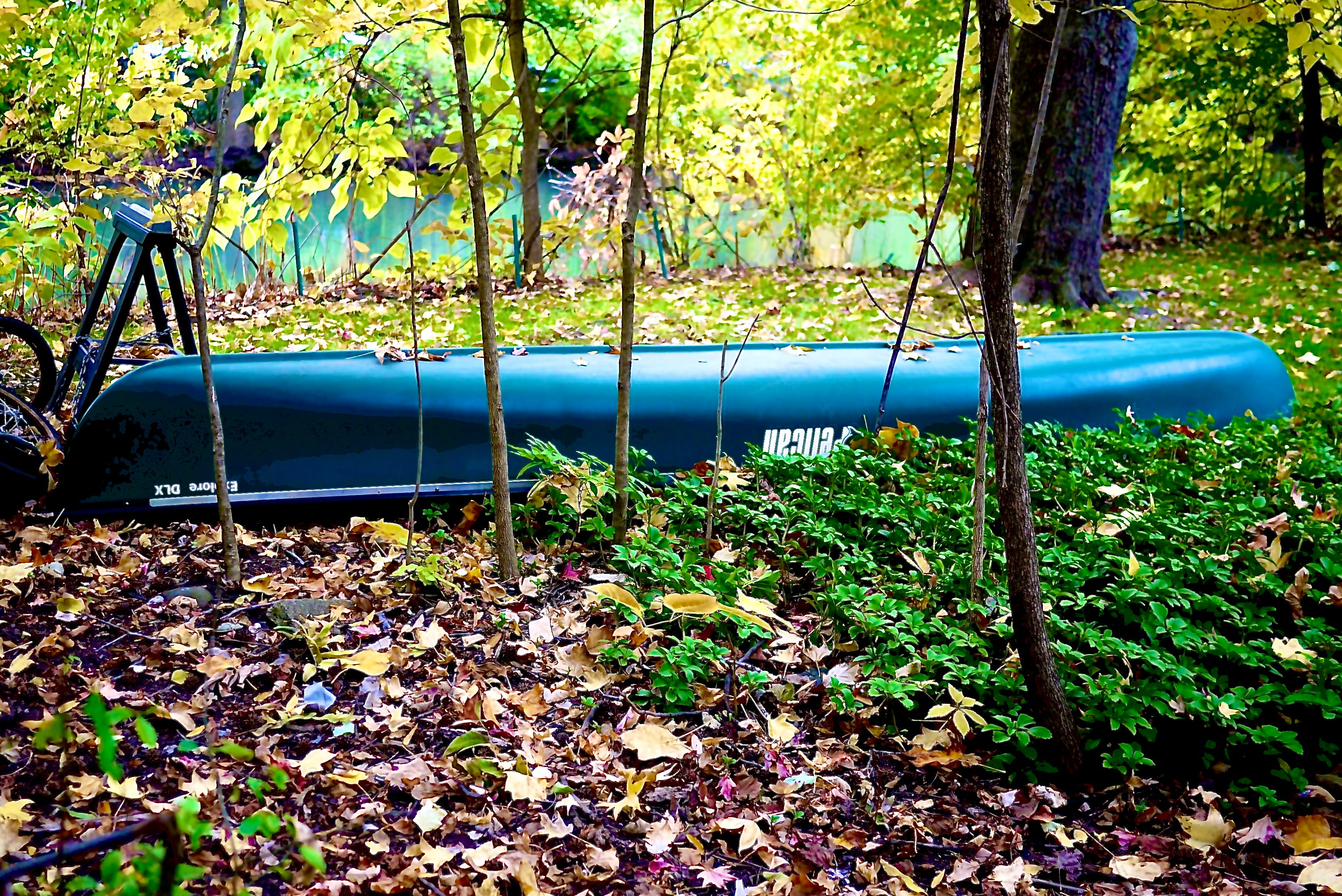 Some Fall Colors In New Jersey by garybaumgarten