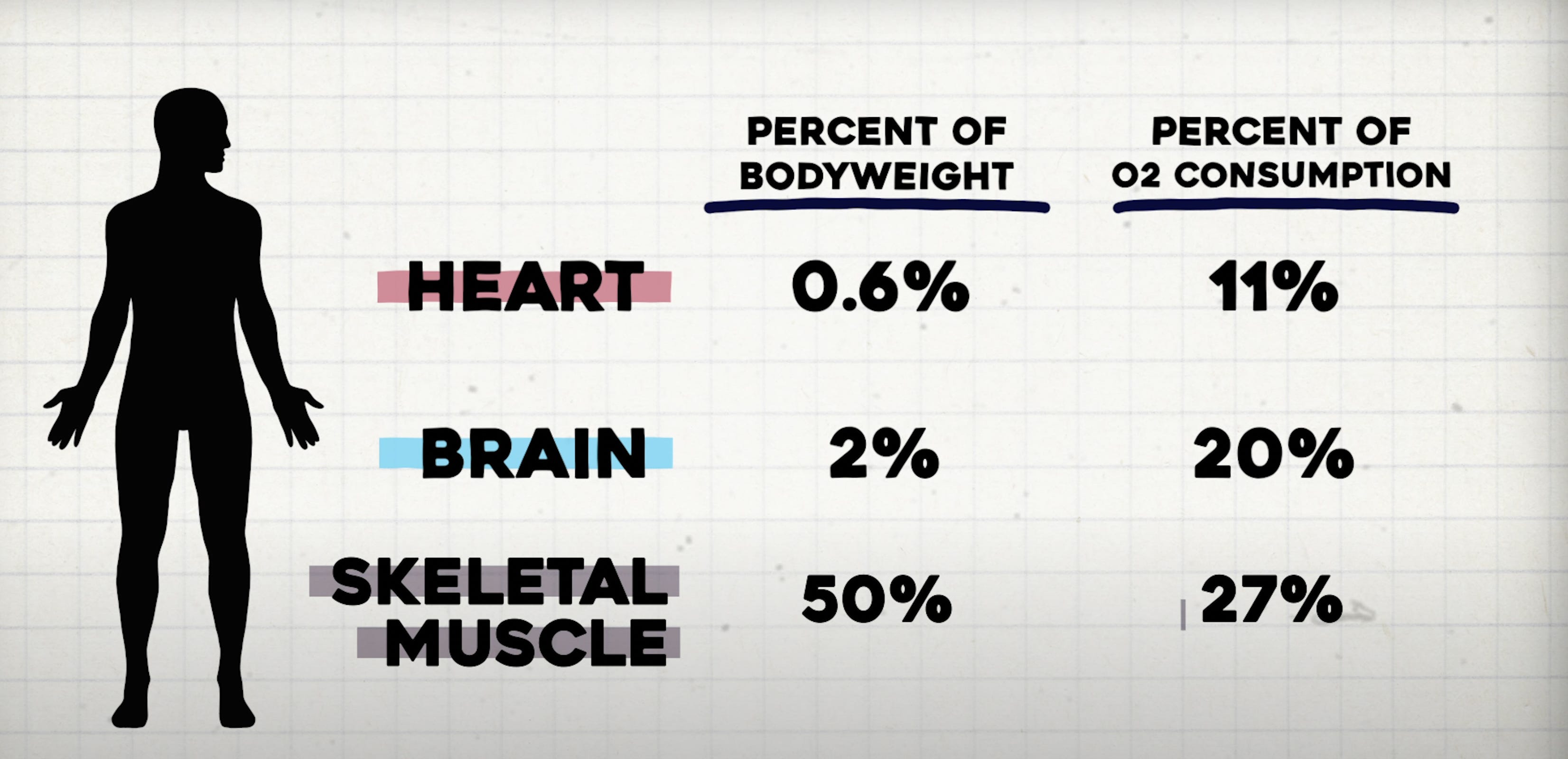 VO2 Max the Next Vital Sign by Louisa Nicola