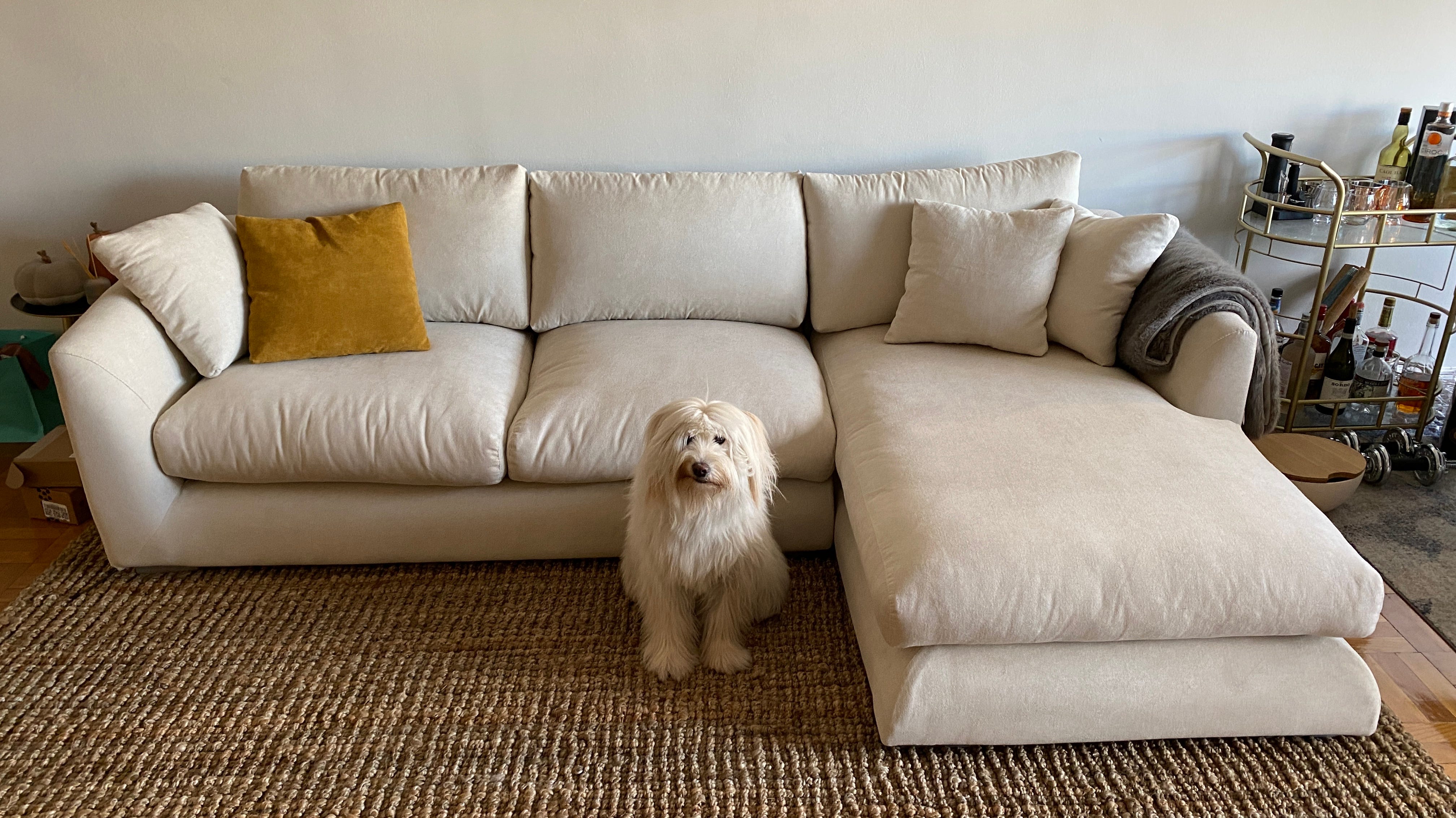This Week s Discussion Finally a couch I can nap on