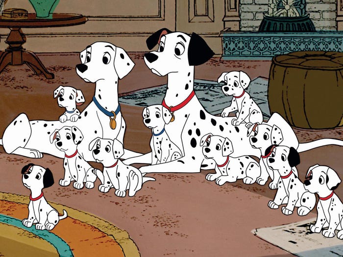 Dalmatian dog origin sale