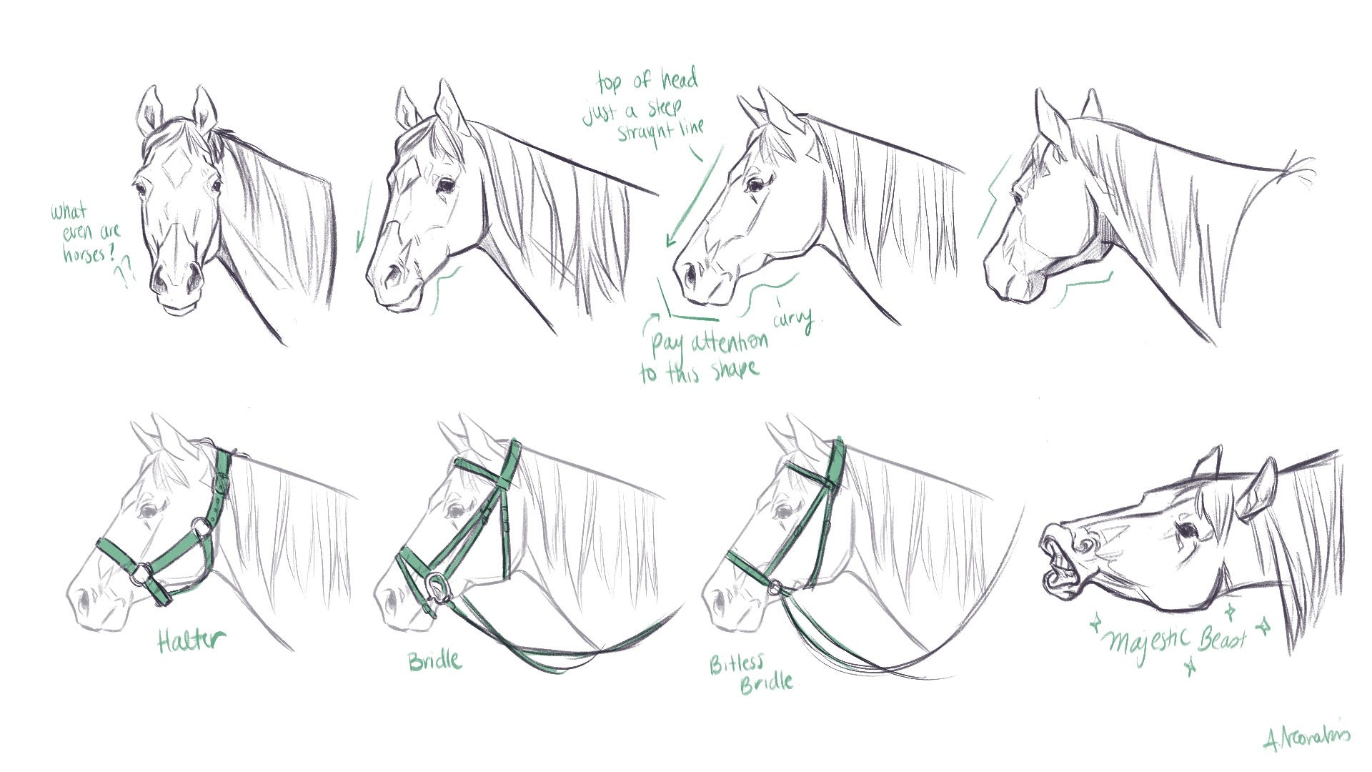 Horse Drawing Notes Alexandria Neonakis' Sketchbook