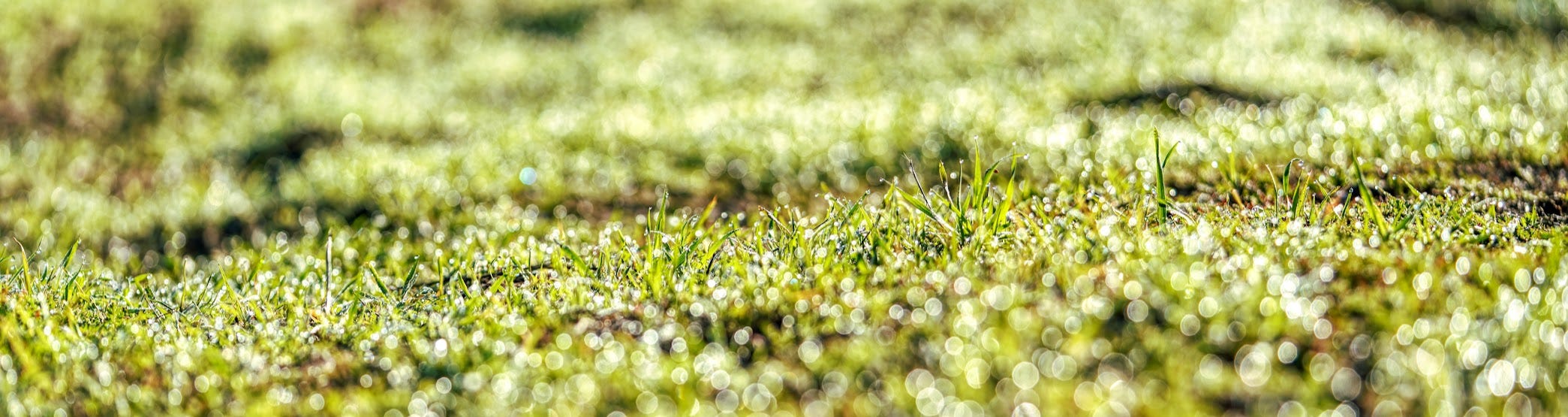 favorites-december-10th-2022-by-david-watson