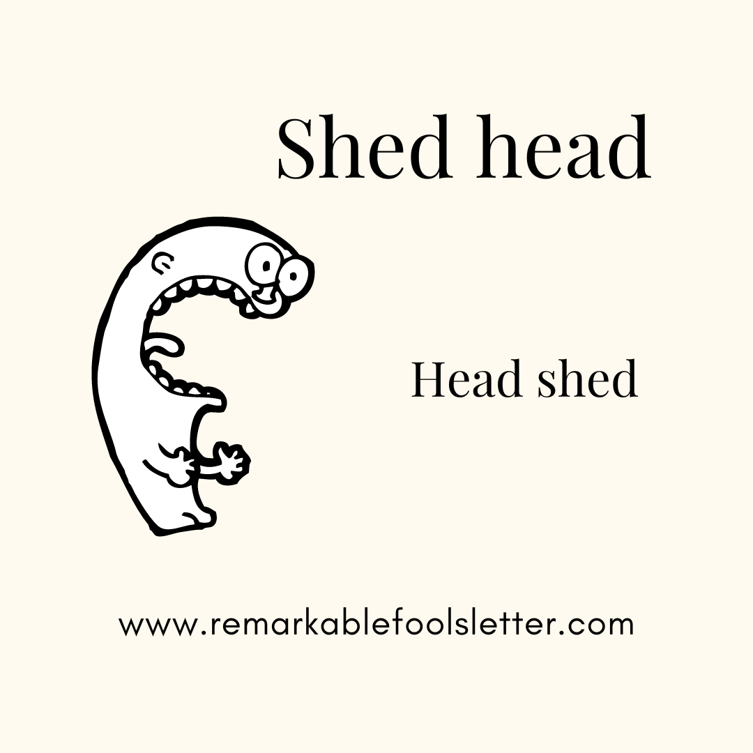 head-sheds-by-jim-dalling-the-remarkable-fools-letter