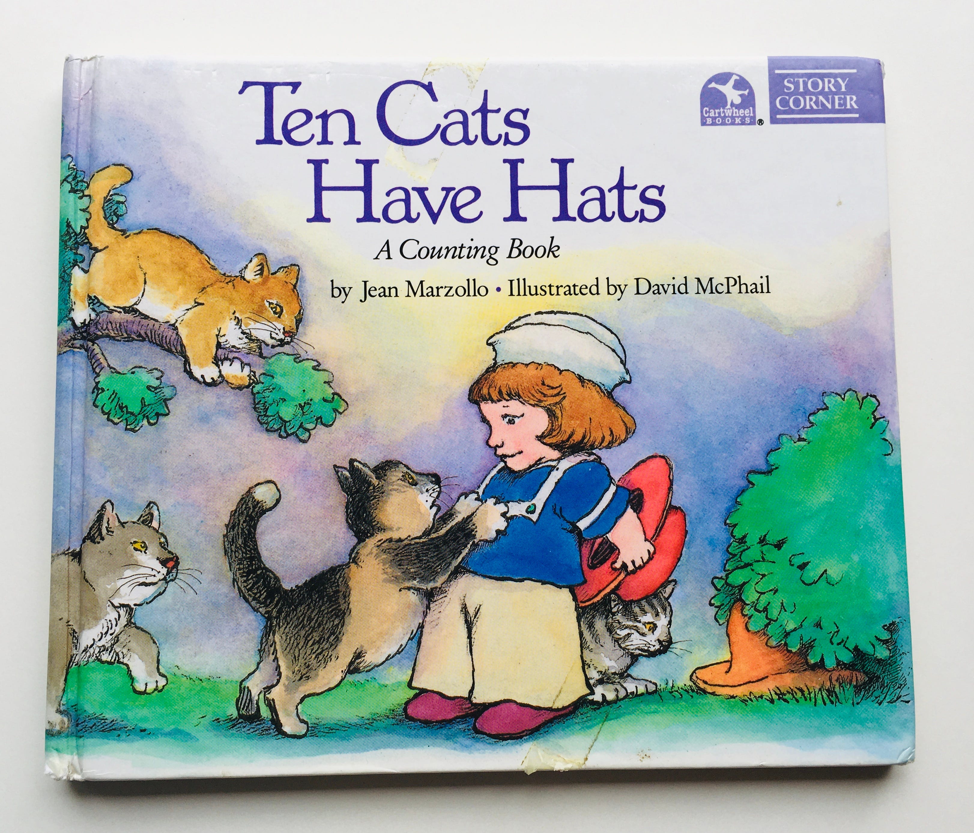 Childrens book hats new arrivals
