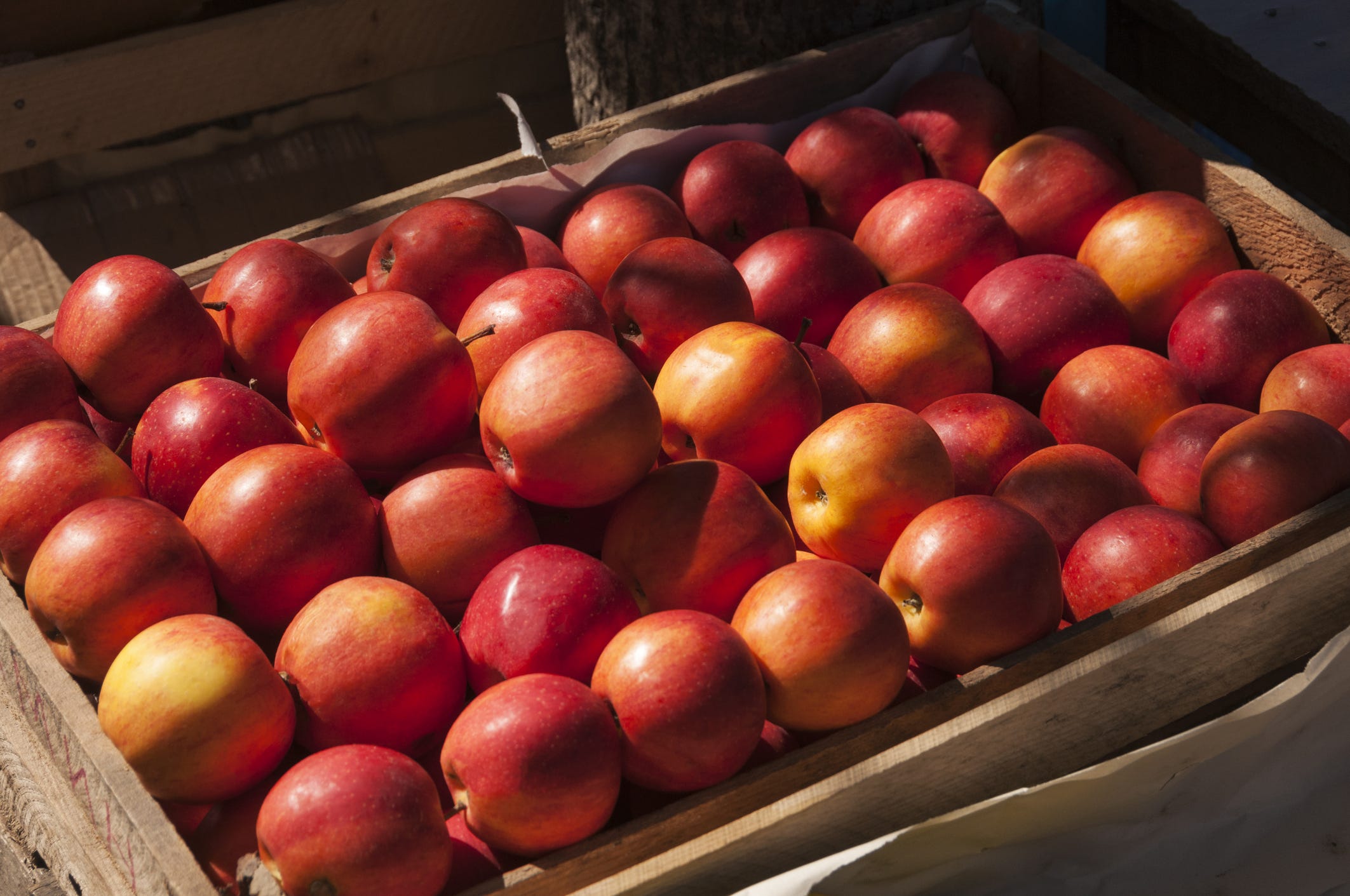 Apple lot outlet