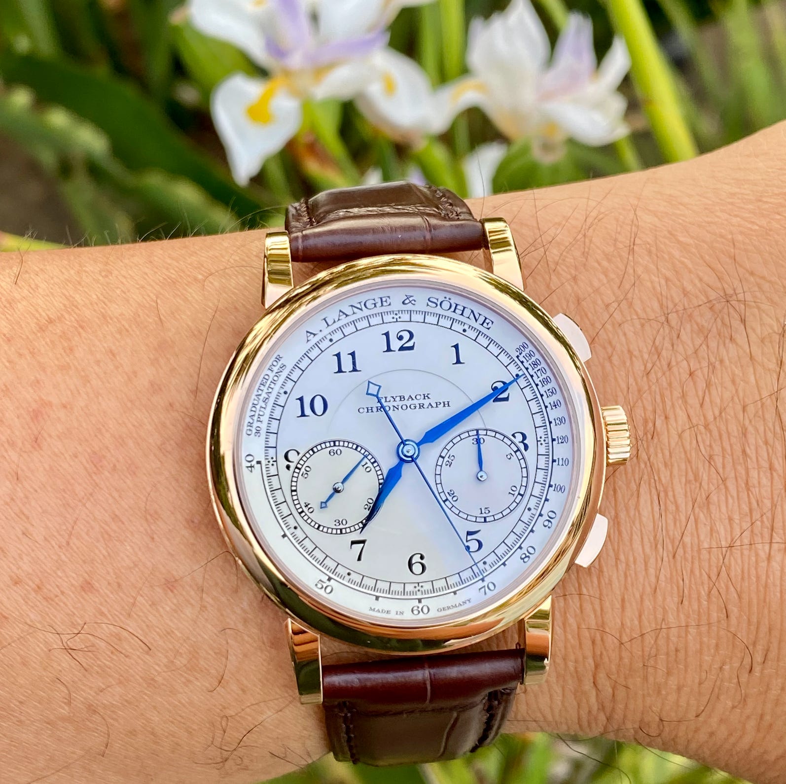 Review A. Lange S hne 1815 Flyback Chronograph Pink Gold with