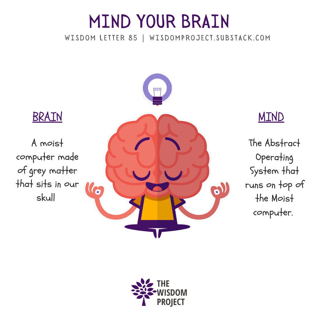 🧠This is why you fall(and get up!) by Ayush 🙏