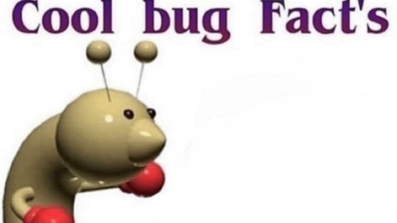 cool bug fact #39 s by Annie Rauwerda LOL (lots of links)