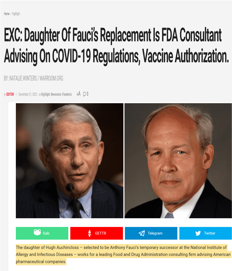 kitten corner: streamlining government - by gatito bueno