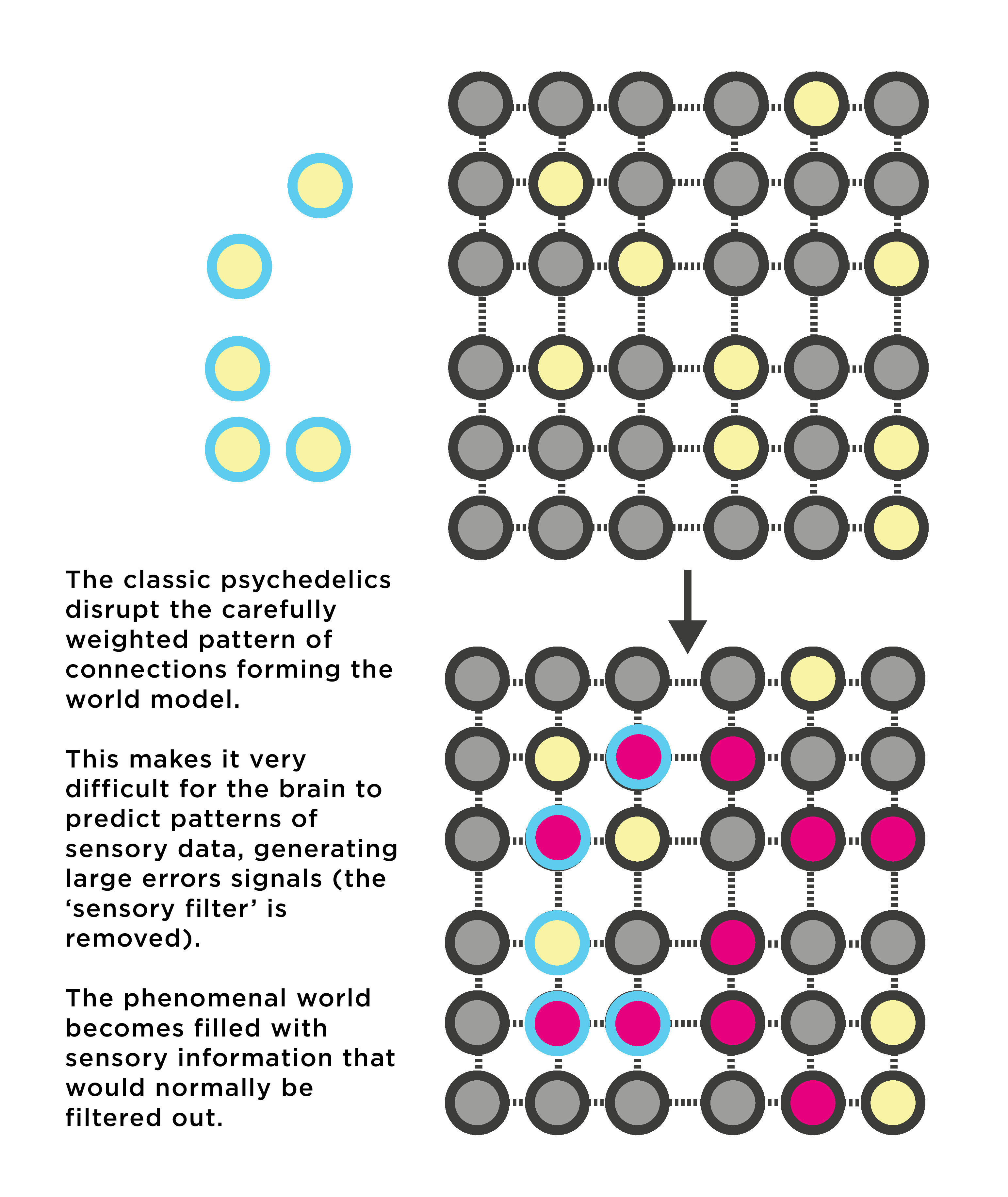 Brief Primers on the Neuroscience of Psychedelics 1 The Classics