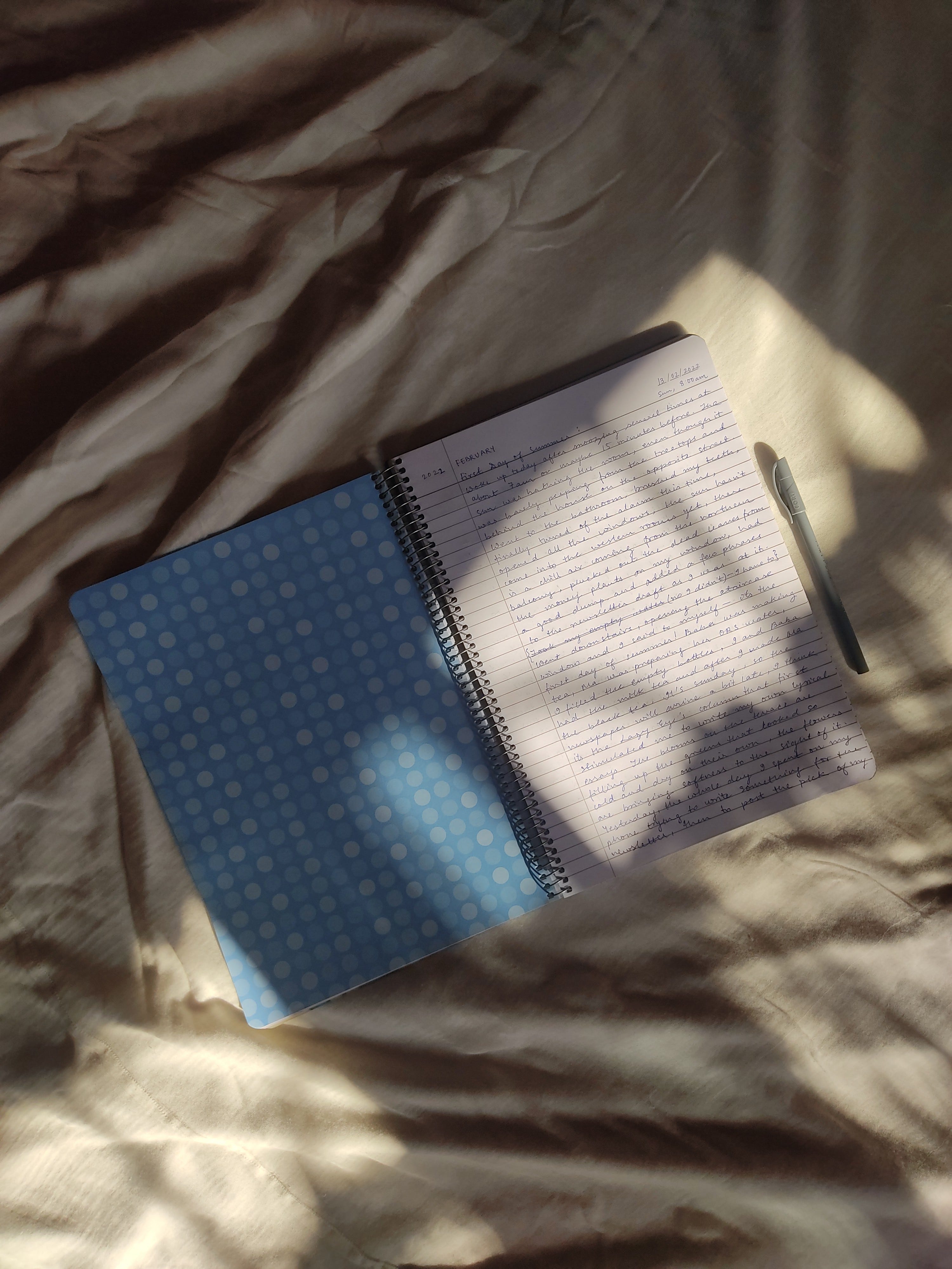 soft summers - by Bithika Halder - Path Between Trees