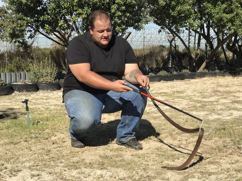 What it’s like to do a Venomous Snake Handling Course