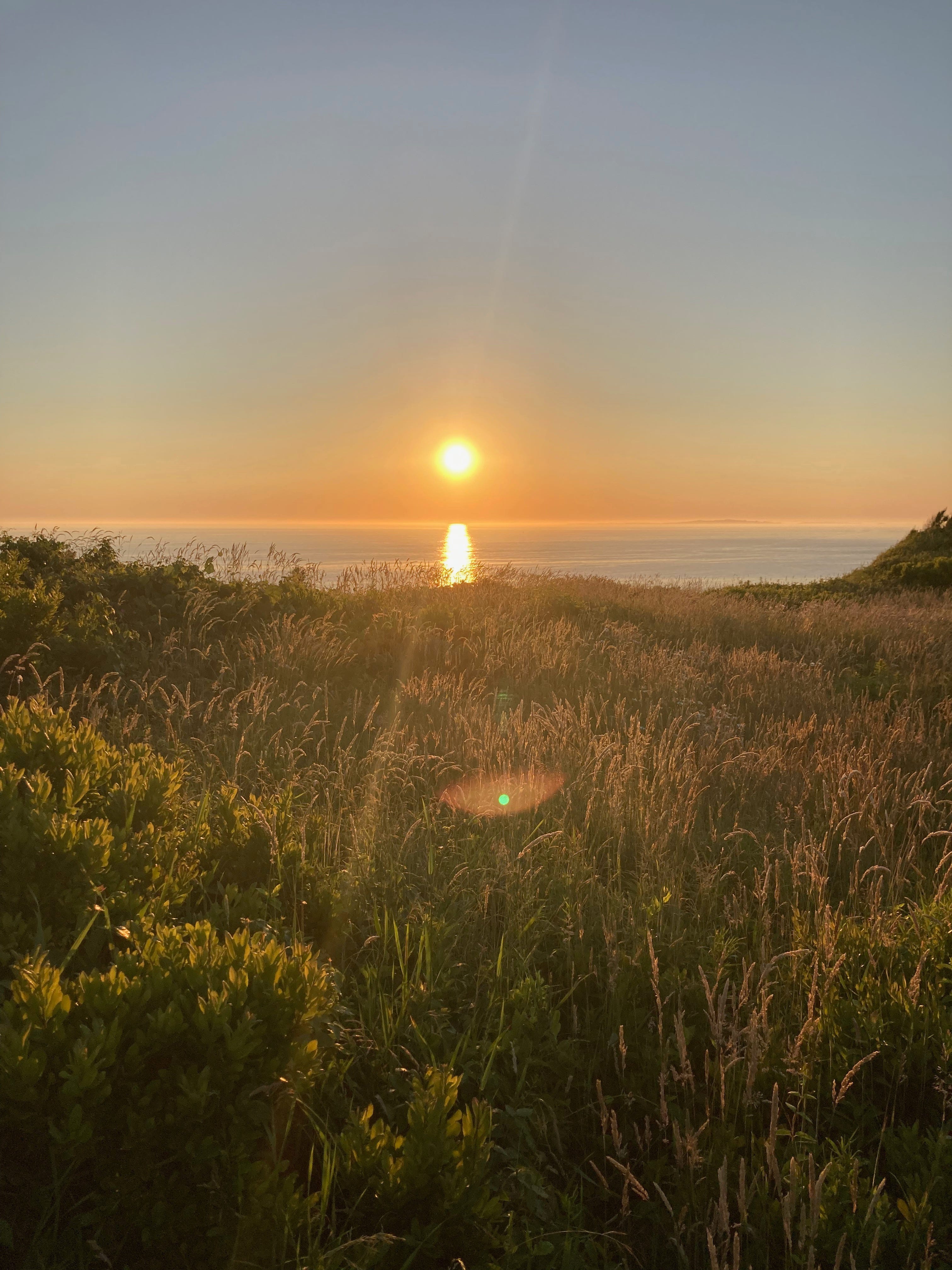 🌅 Our favorite Martha’s Vineyard Sunrise + Sunset Locations