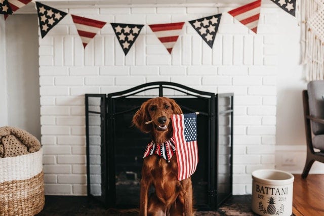 Nation's pride dog treats shop
