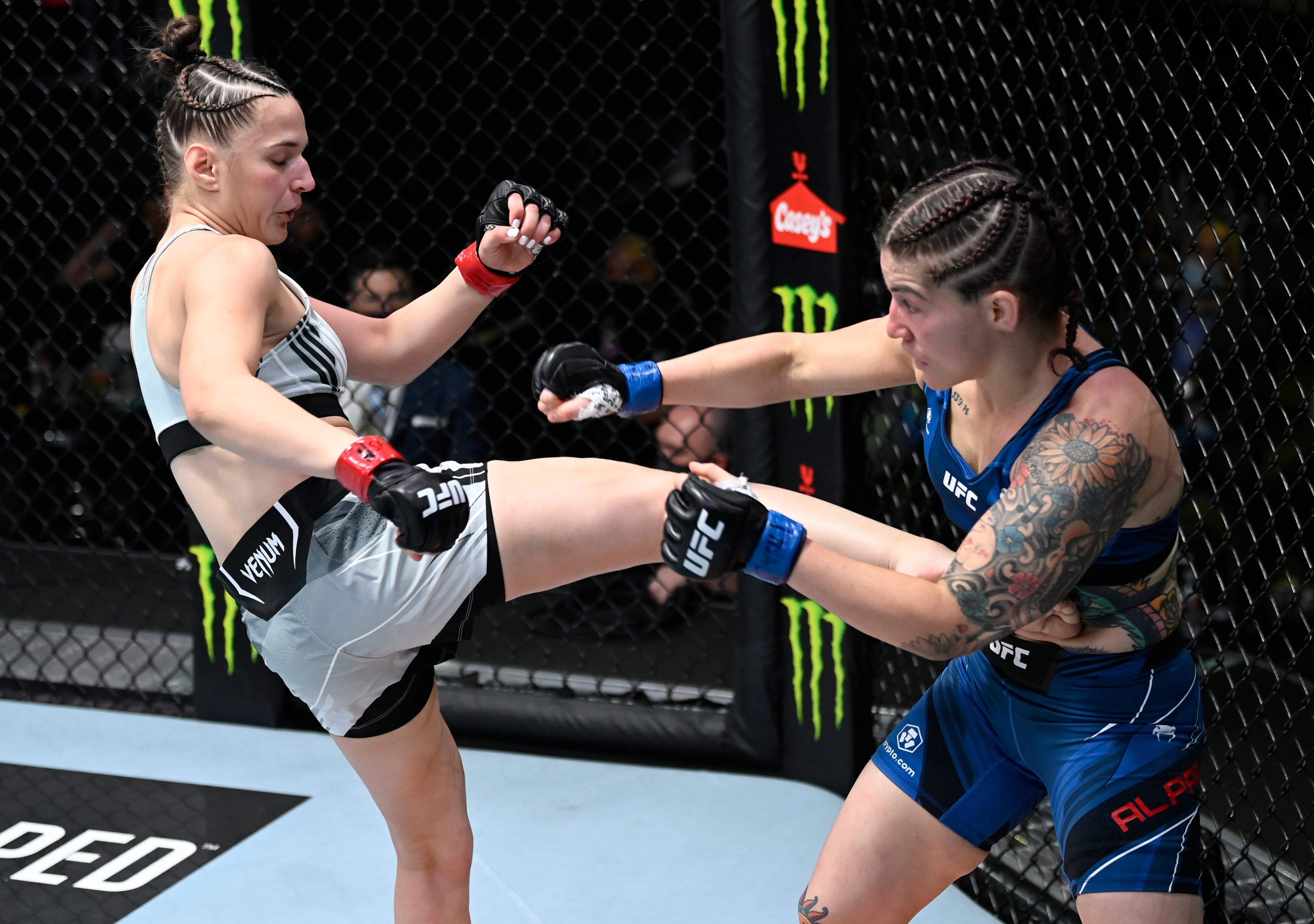 Ufc fight night hotsell 138 free stream