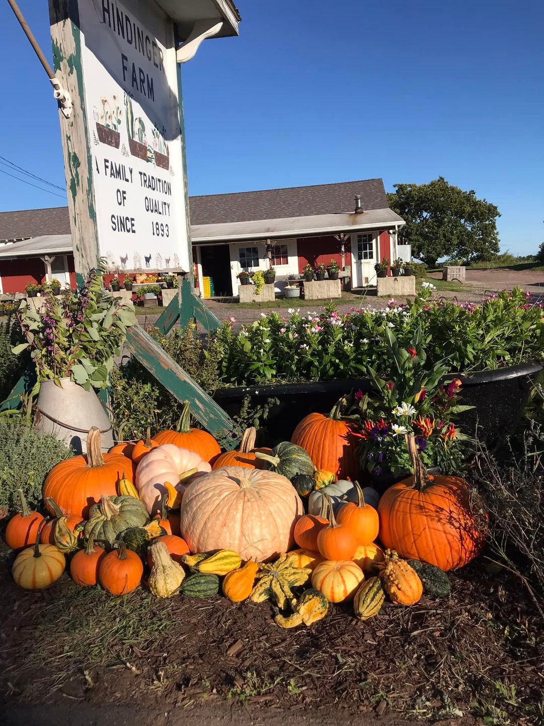 Special Edition Halloween in Hamden (kids & adults)