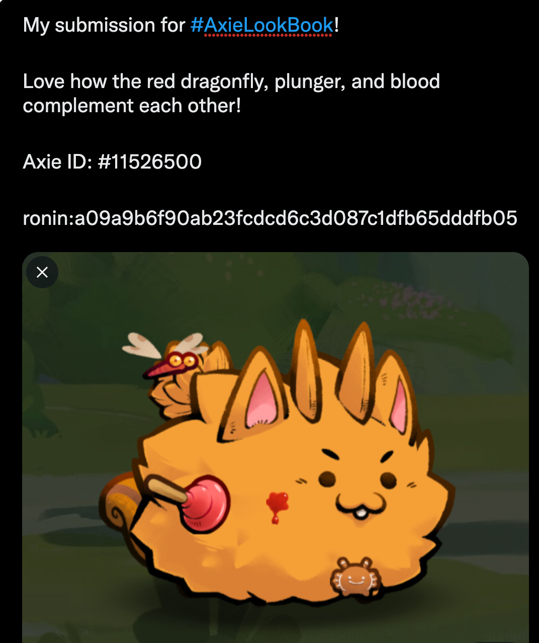 Accessorize Your Axies! by Axie Infinity The Lunacian