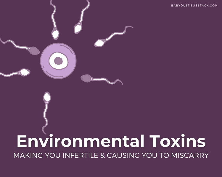 Understanding Epigenetics and Its Impact on Our Lives