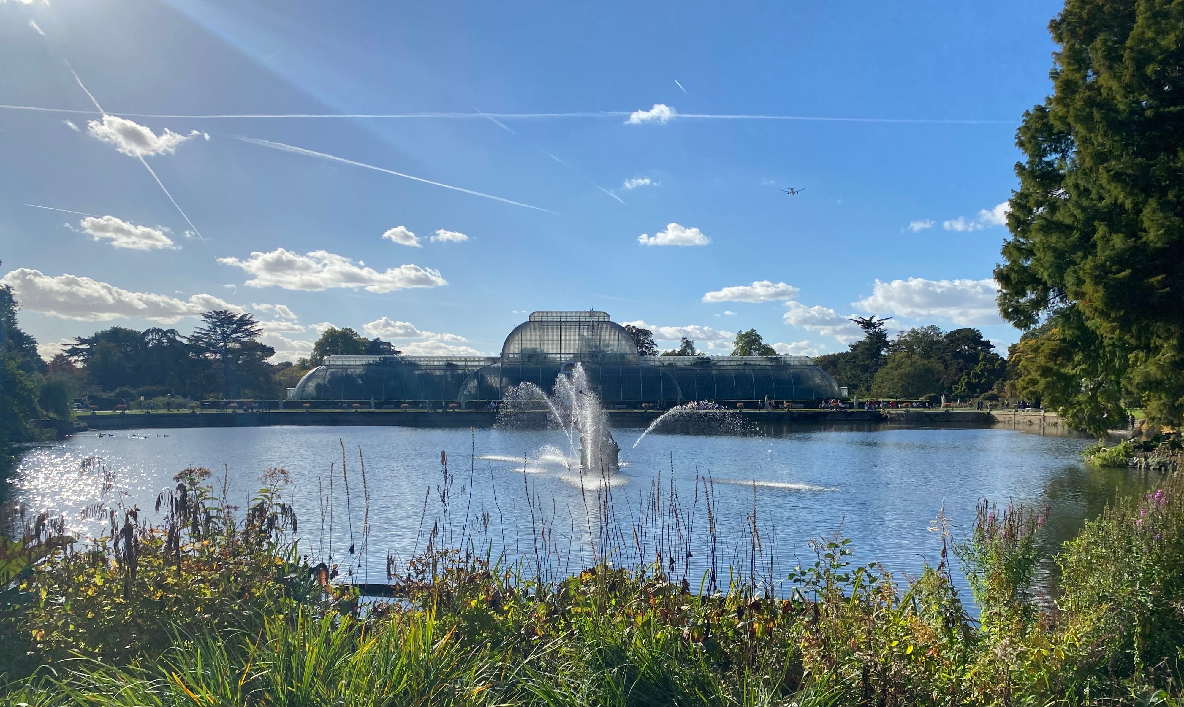 Right on Kew: the gardens where botany and beauty collide