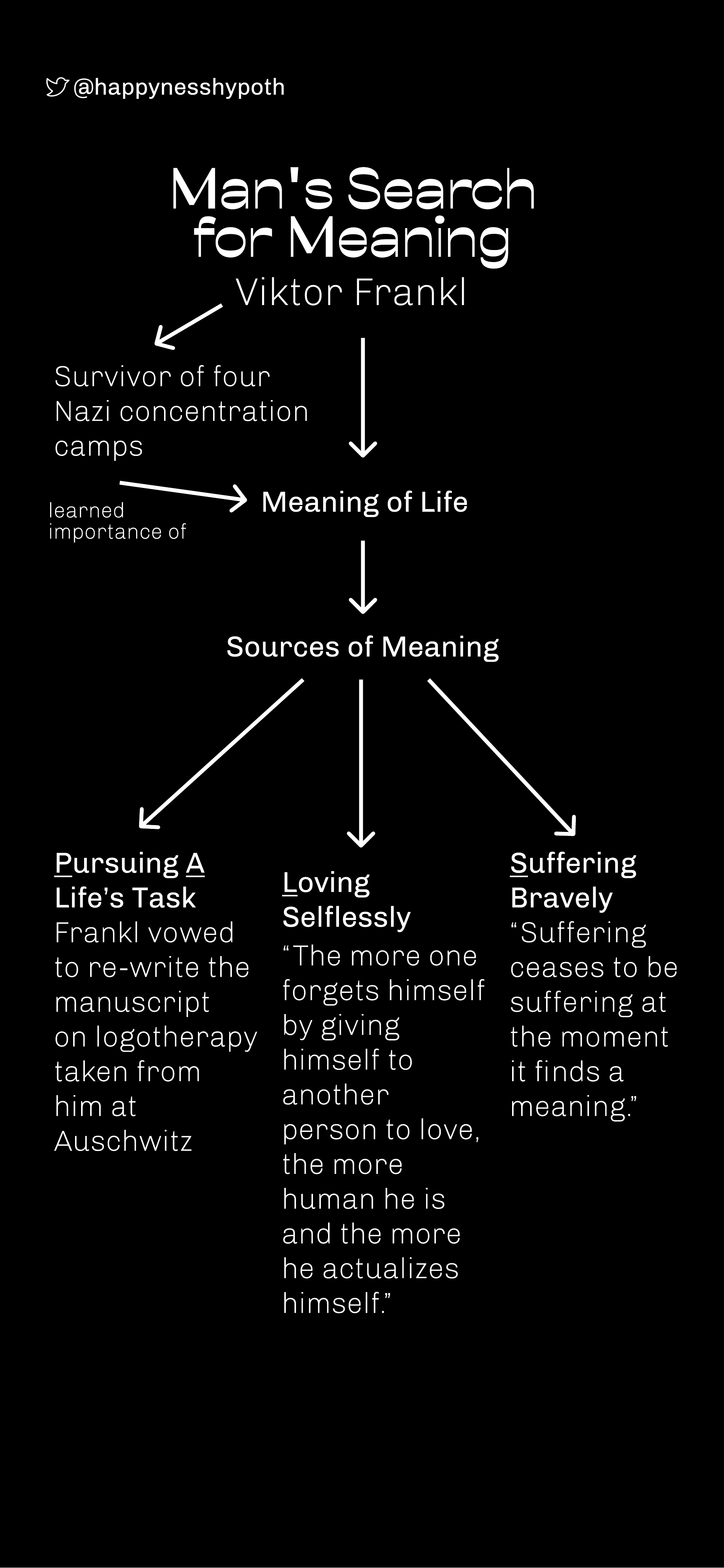 Man's Search for Meaning Happyness Hypothesis
