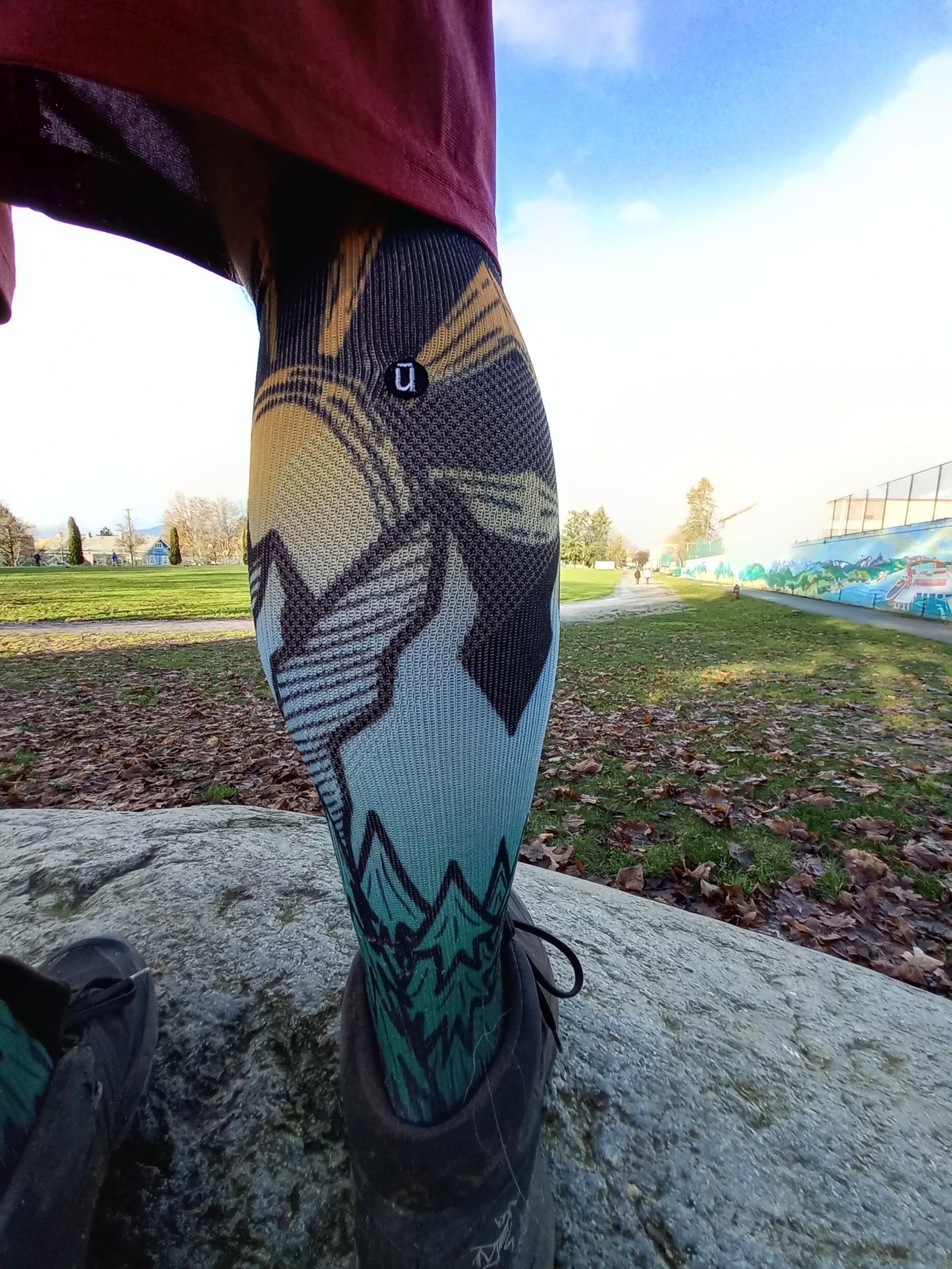 Endur socks store