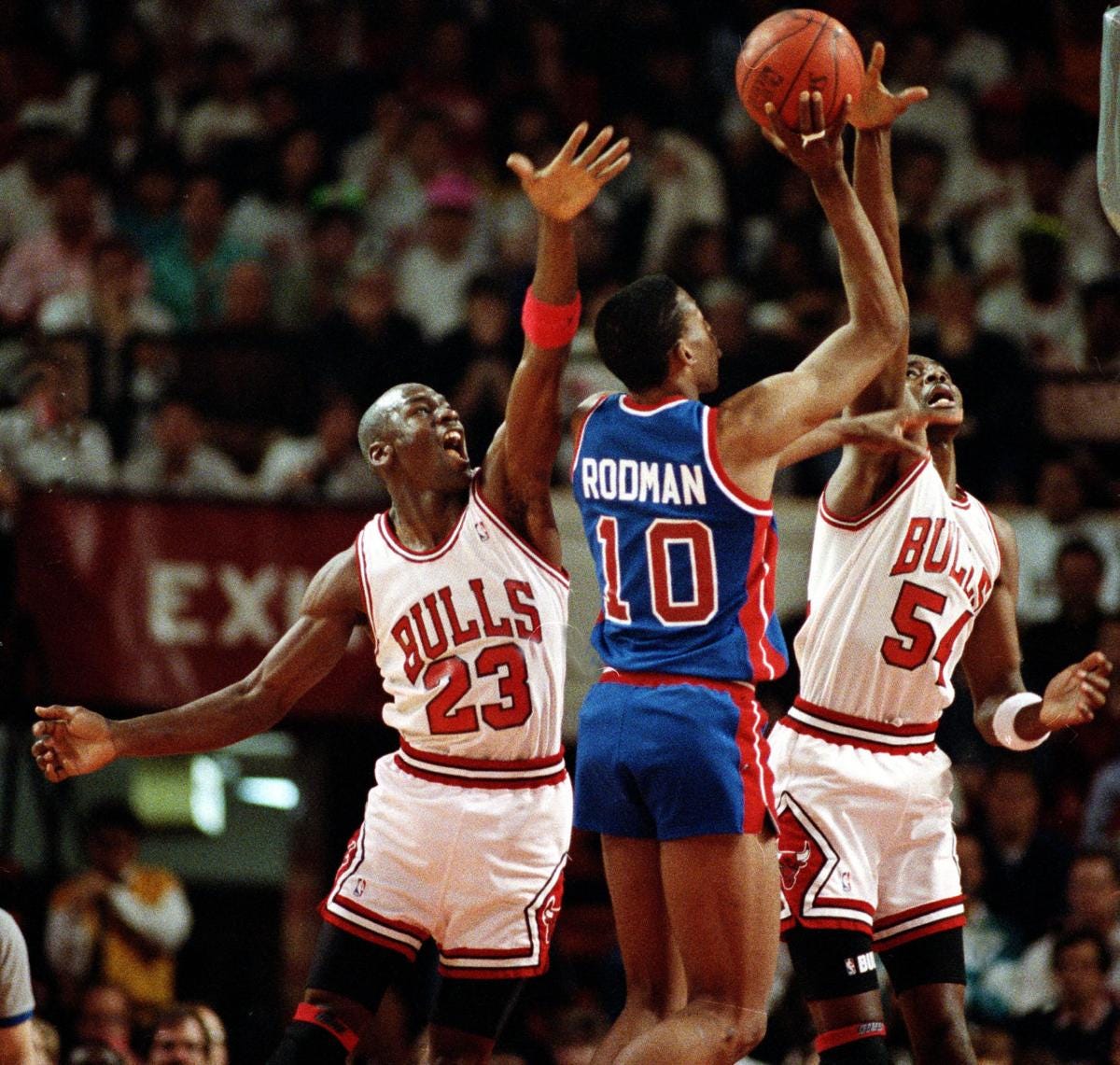 Michael jordan rodman discount