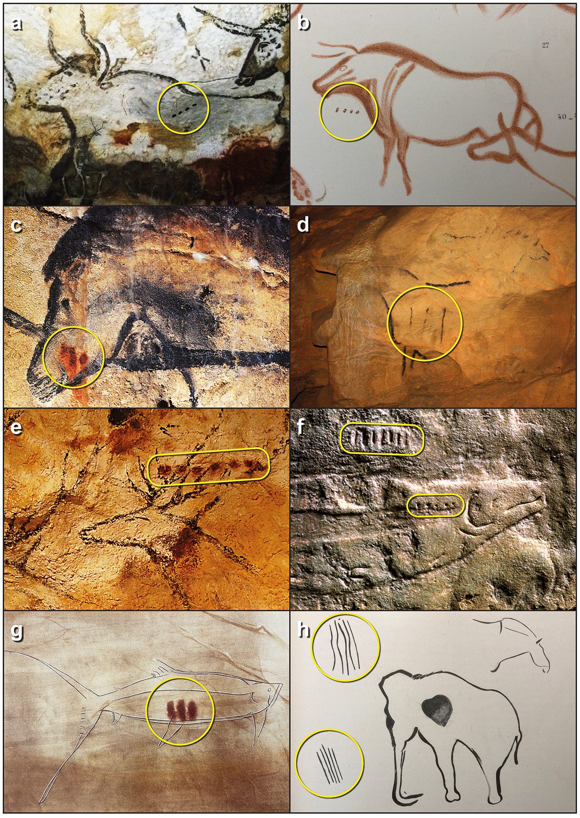 Cave Art Made By Ice Age Hunters Were To Chart Animal Life Cycles