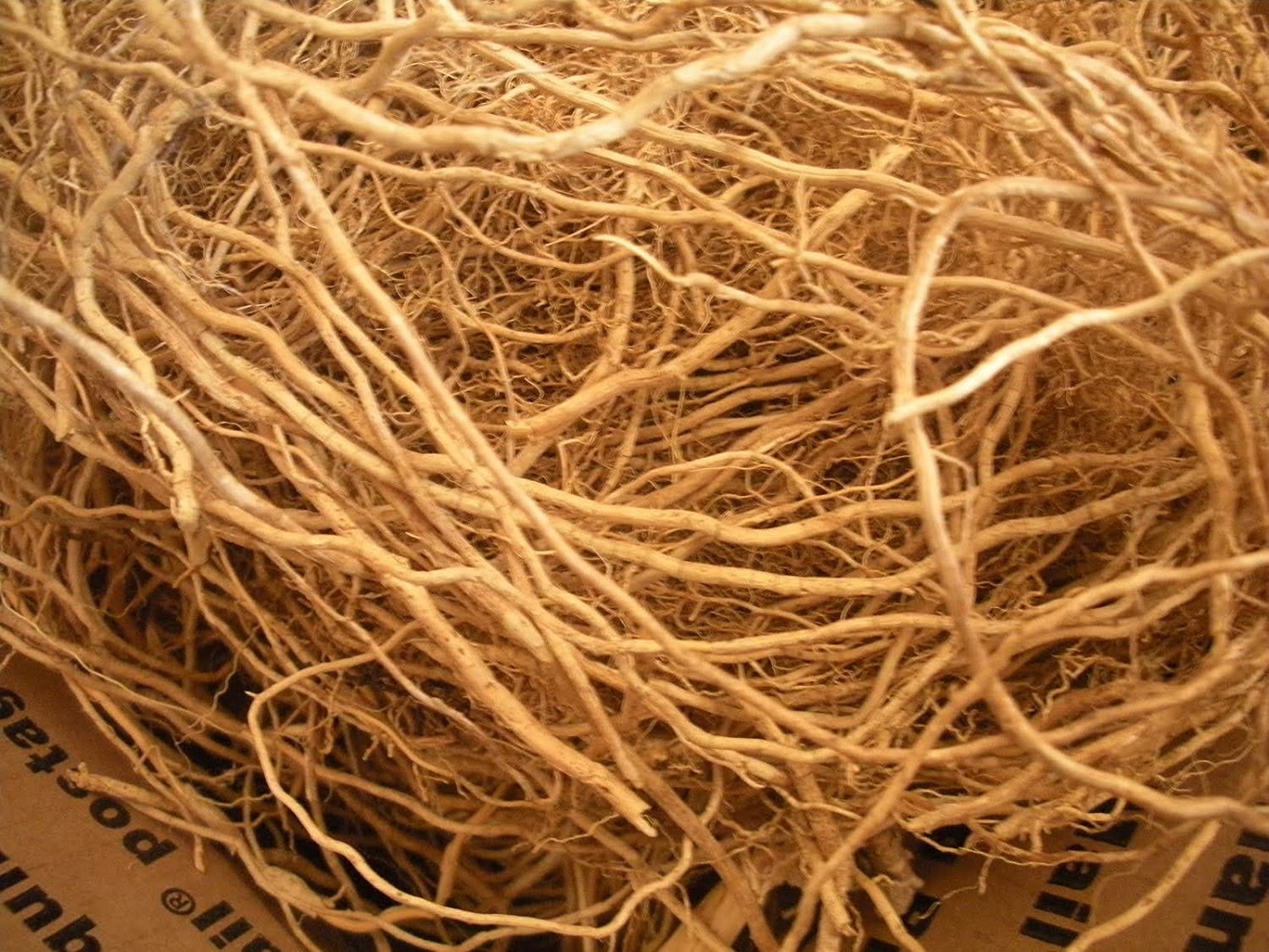 Vetiver smells sales like