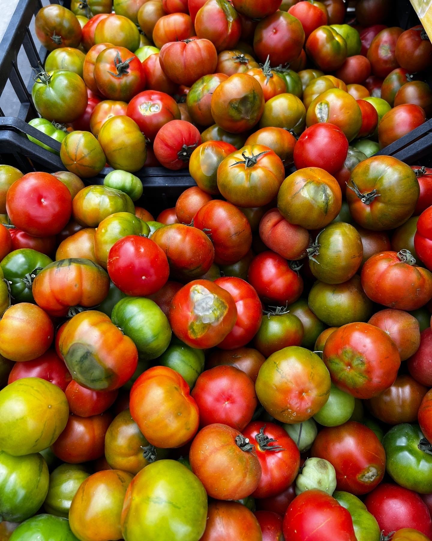 Too Many Tomatoes? by judy witts francini