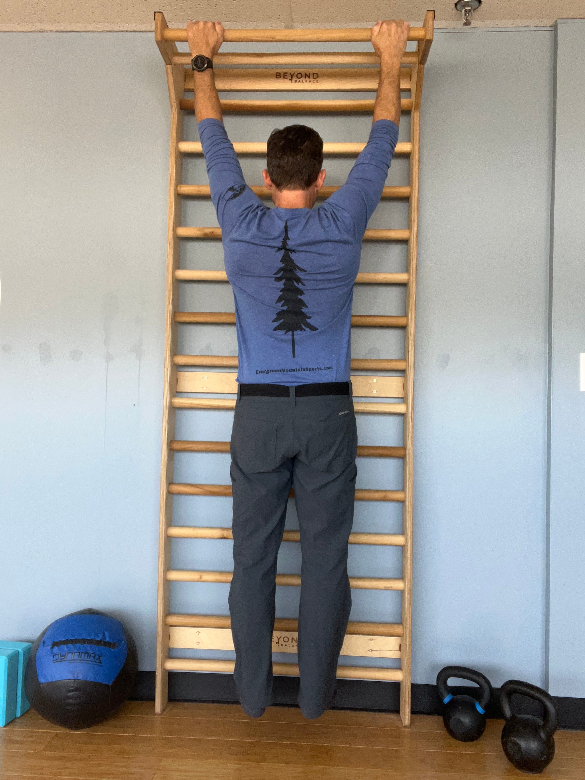 The Aging Athletic Shoulder by Dereck Steffe