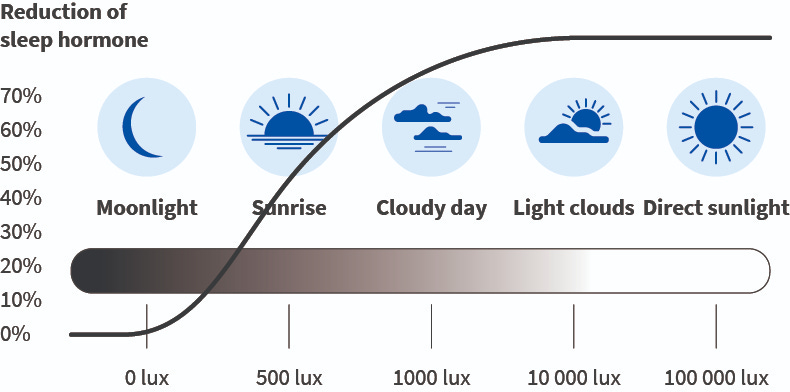 Simulate sunlight indoors deals