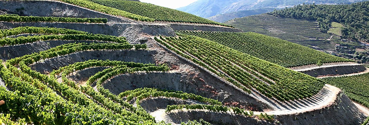 Twin vines vinho verde on sale