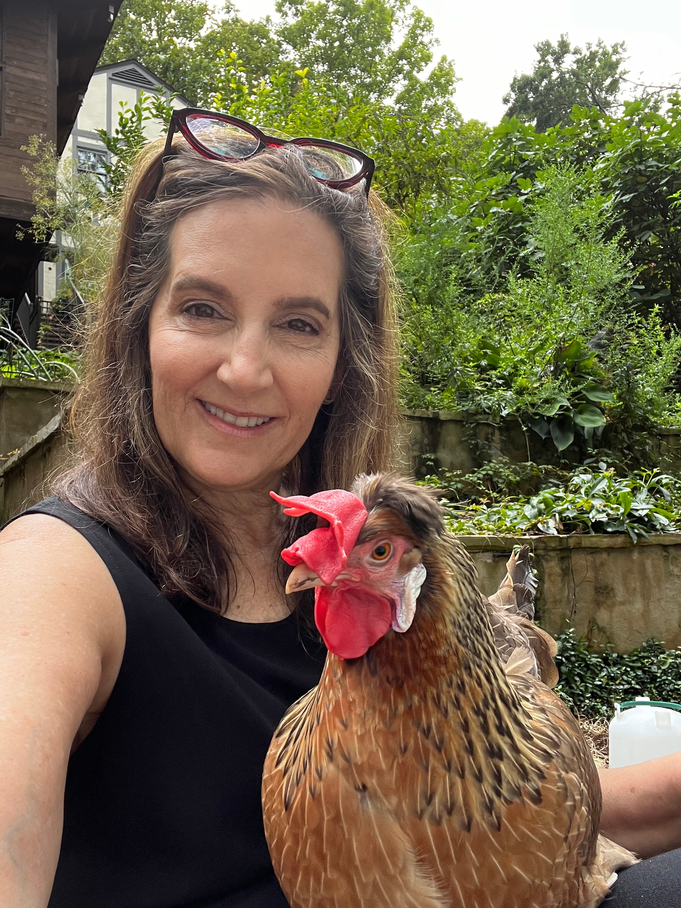 Some Happy Chicken News Civil Discourse with Joyce Vance