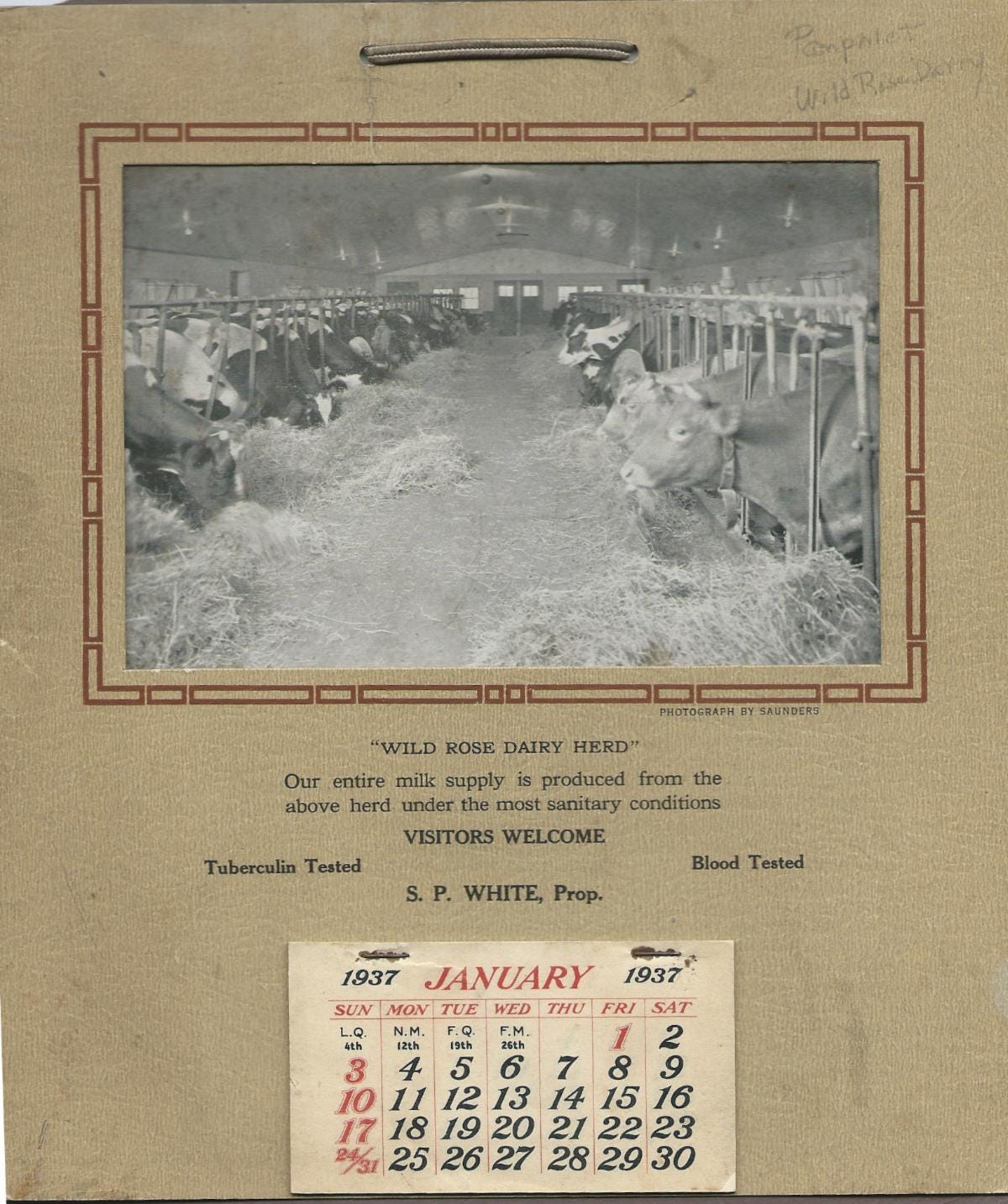 Rose Glen Dairy "Ice cream unsurpassed"