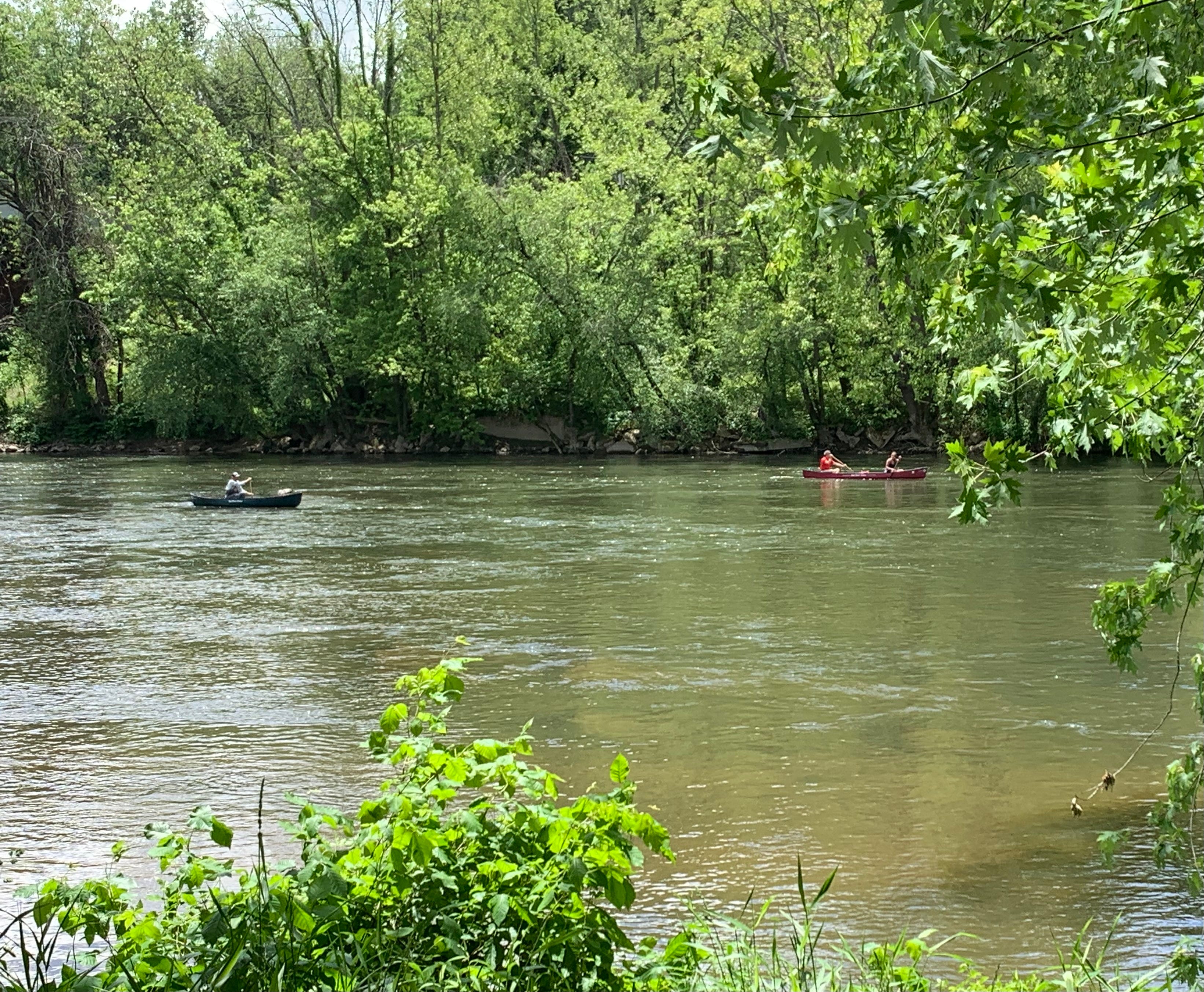 Water quality officials declare 19 miles of French Broad River in
