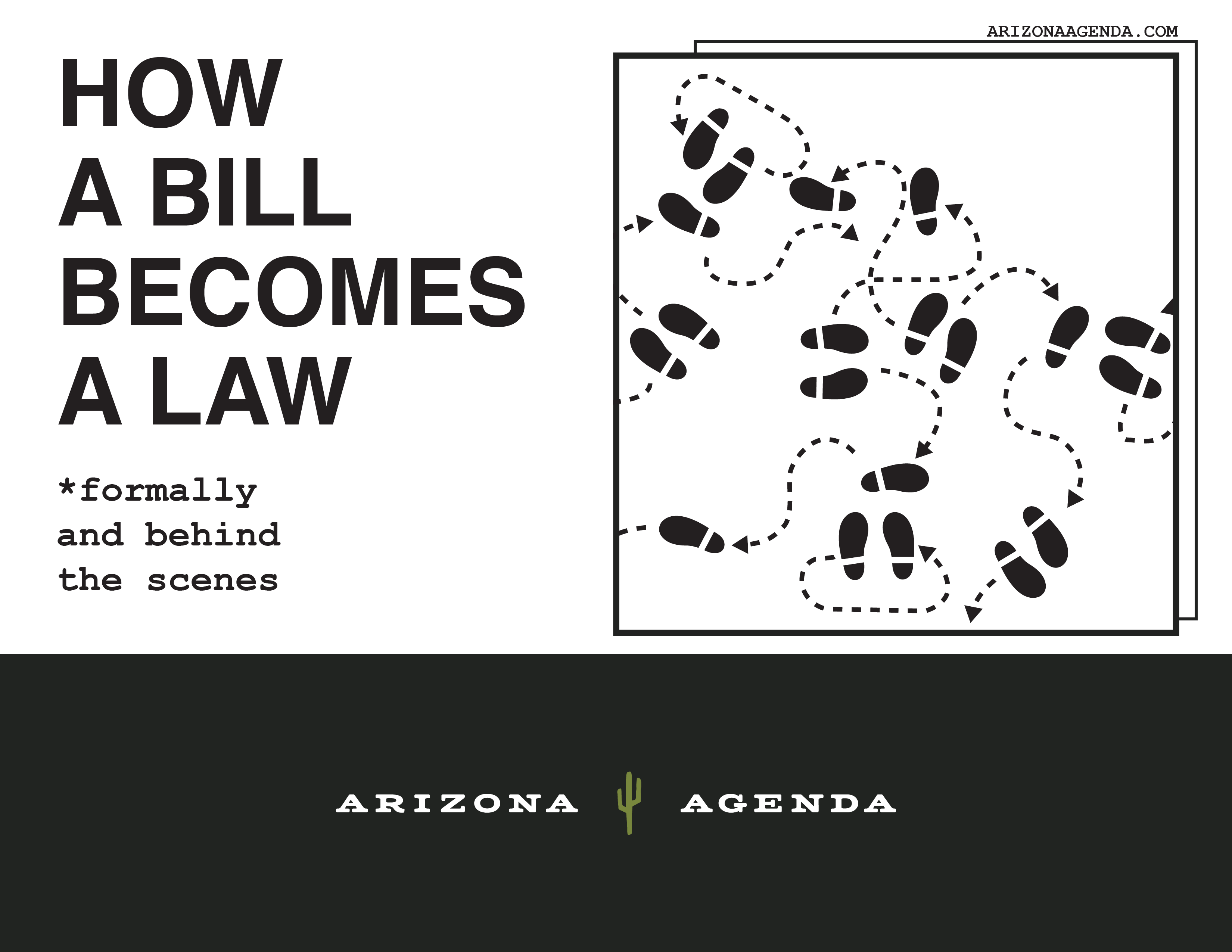 How an Arizona bill a law, formally and informally