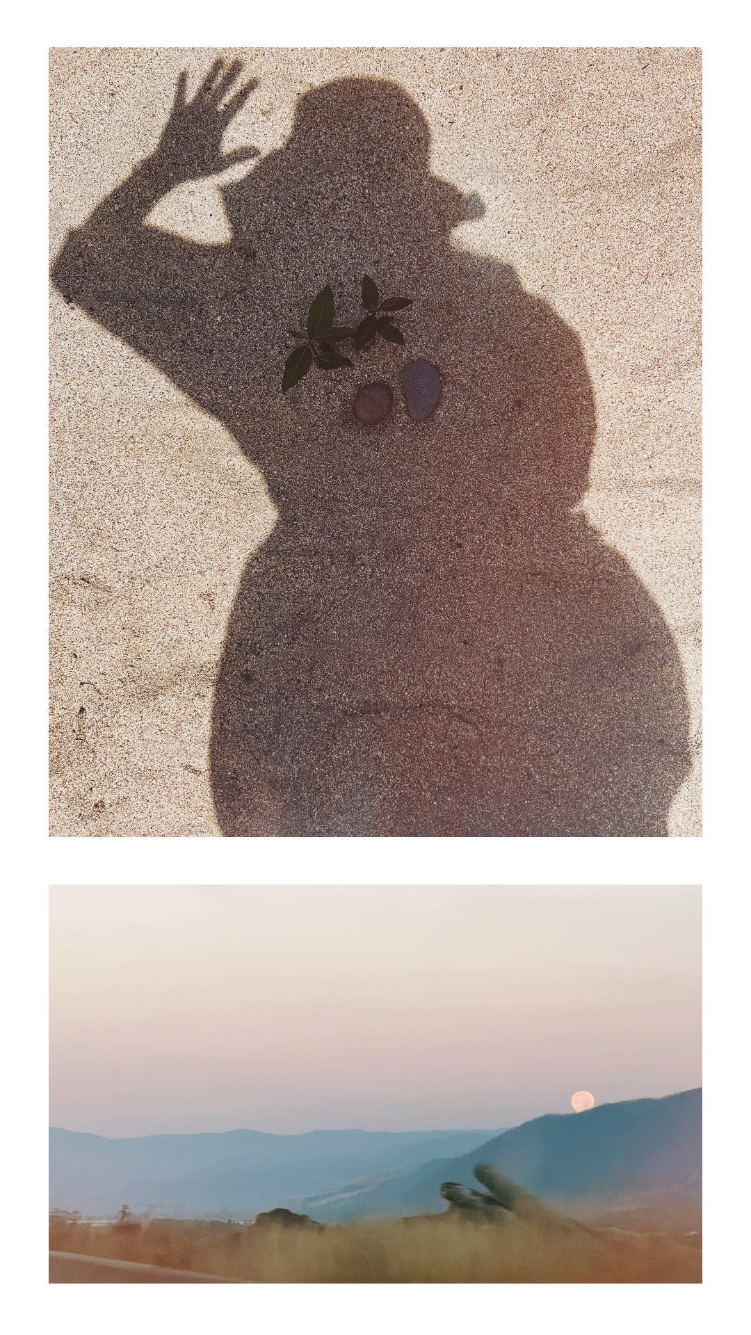 Reemergence Sarah Blondin