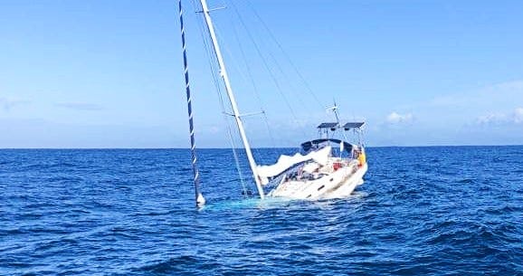 orcas sink sailboat